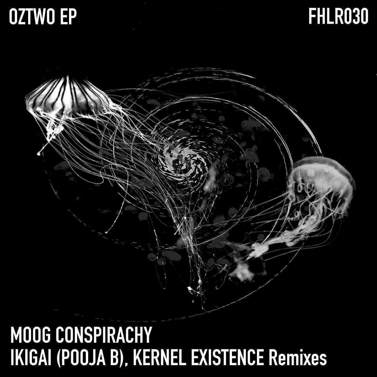 Moog Conspiracy - In the Backroom (Kernel Existence Remix)