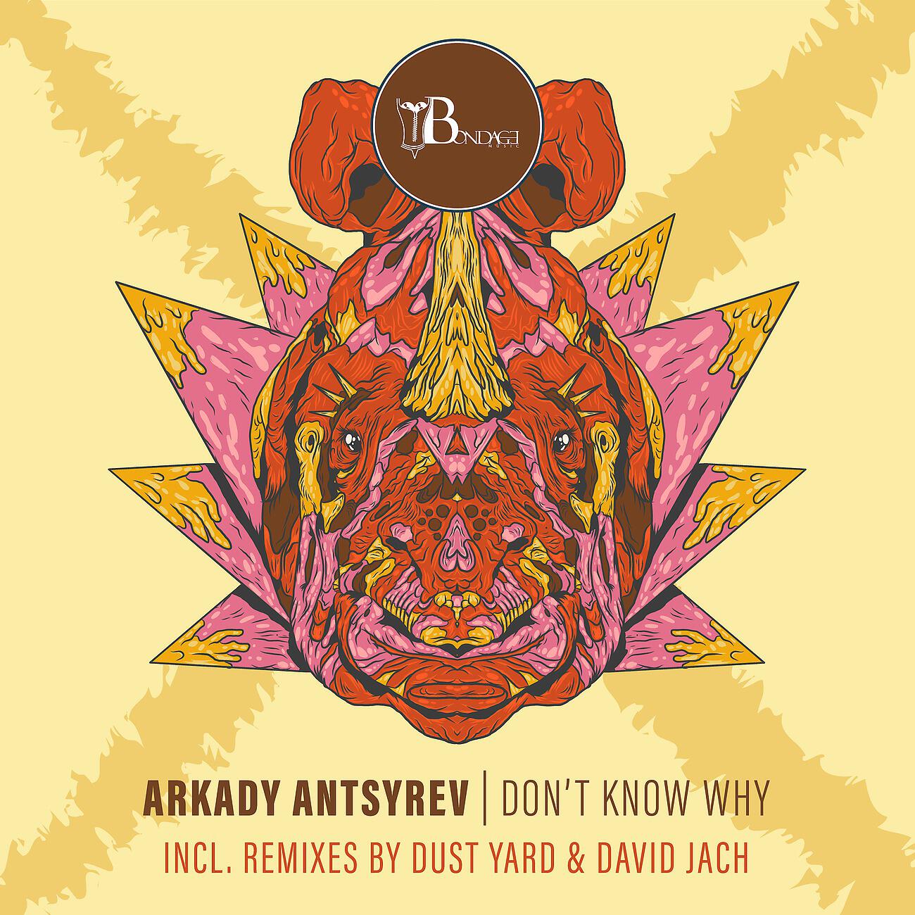 Arkady Antsyrev - Any Many (Dust Yard Remix)