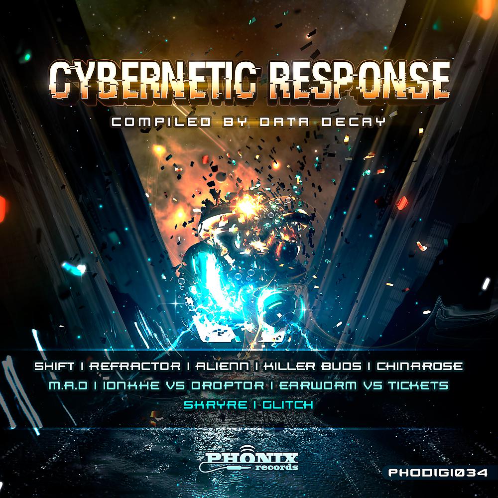 Постер альбома Cybernetic Response Compiled by Data Decay