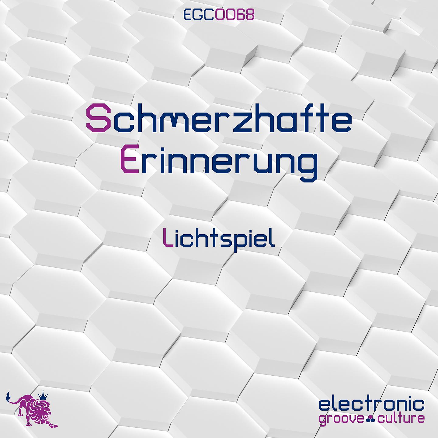 Постер альбома Schmerzhafte Erinnerung