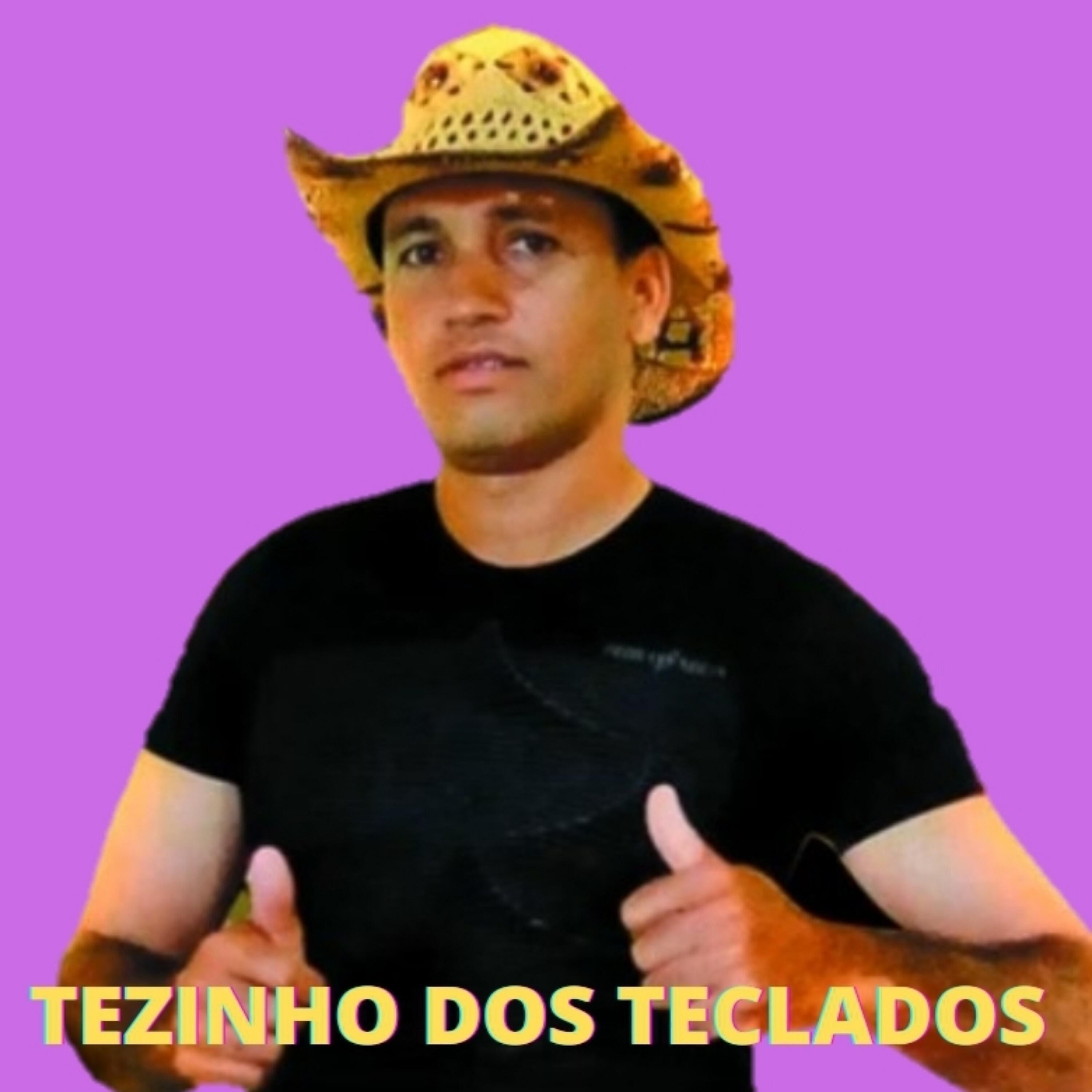 Tezinho dos teclados - Farra