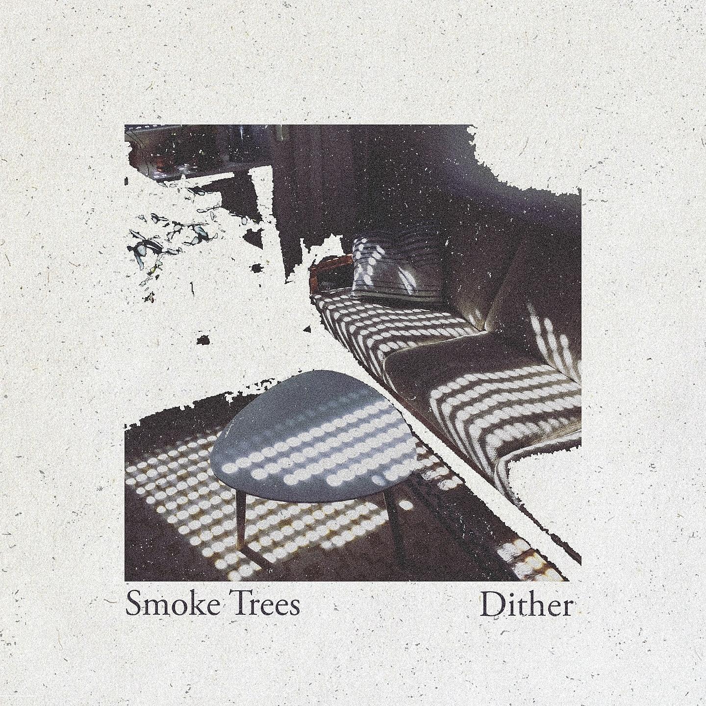 Постер альбома Dither