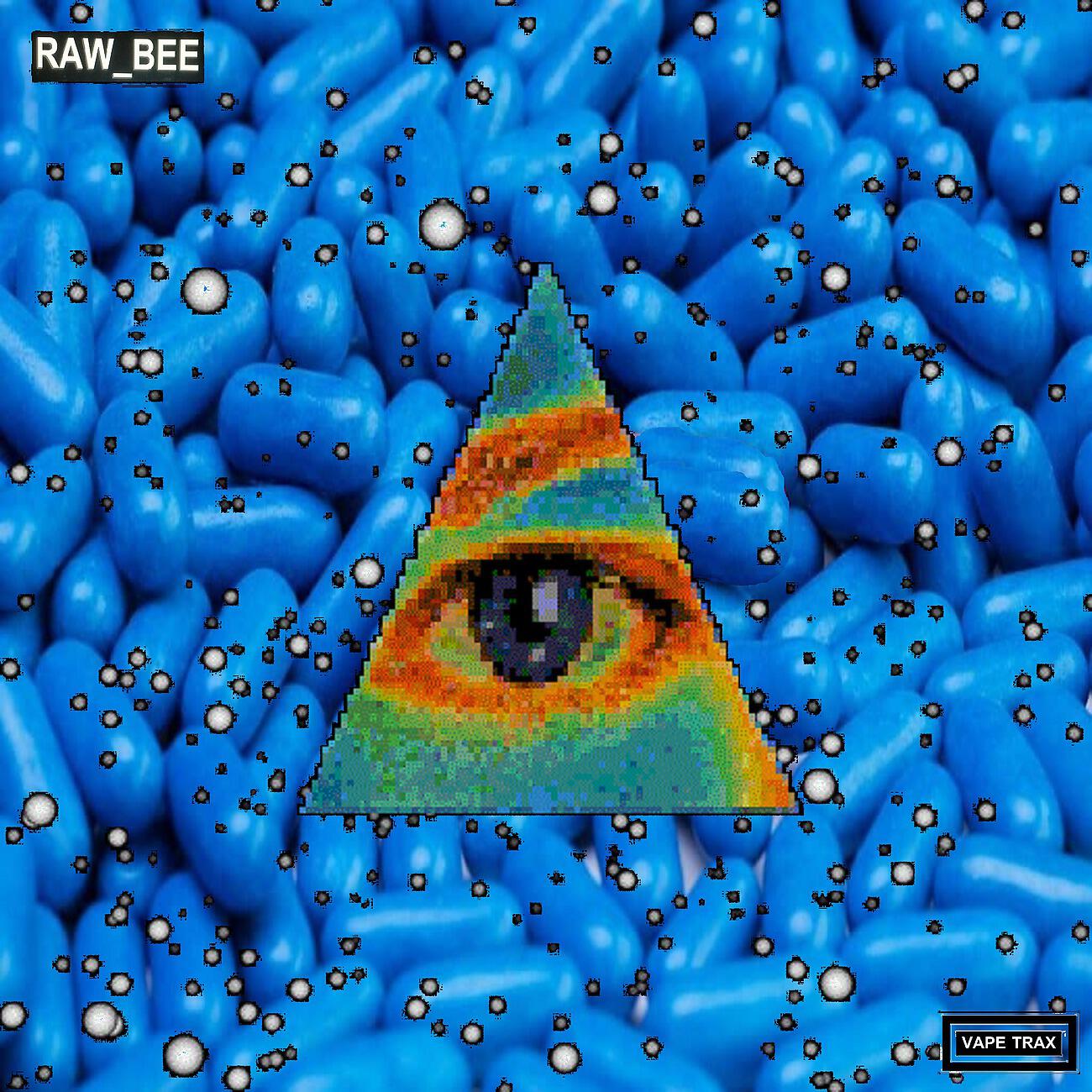 RAW_BEE - 2 Much Ahsid
