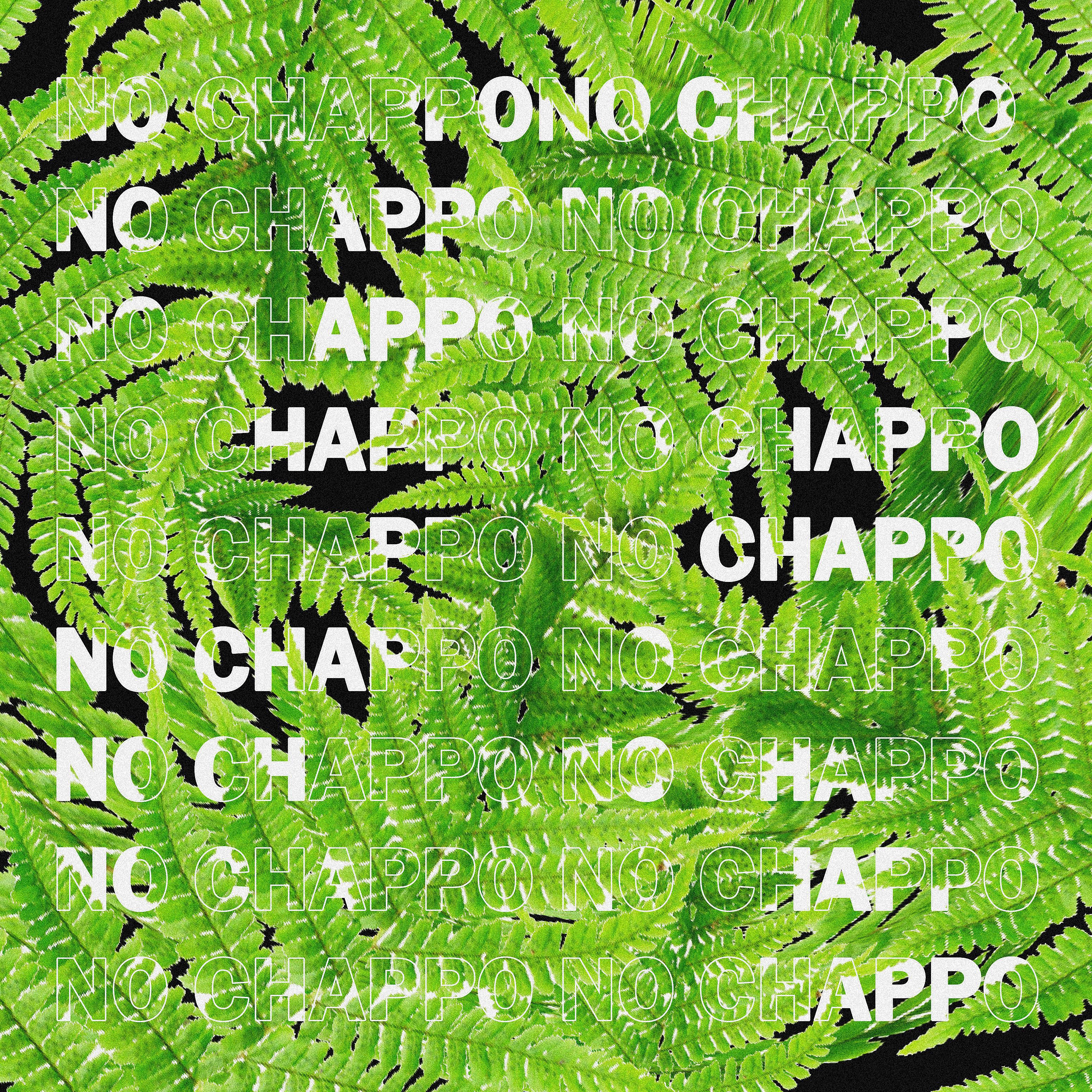 Постер альбома No Chappo