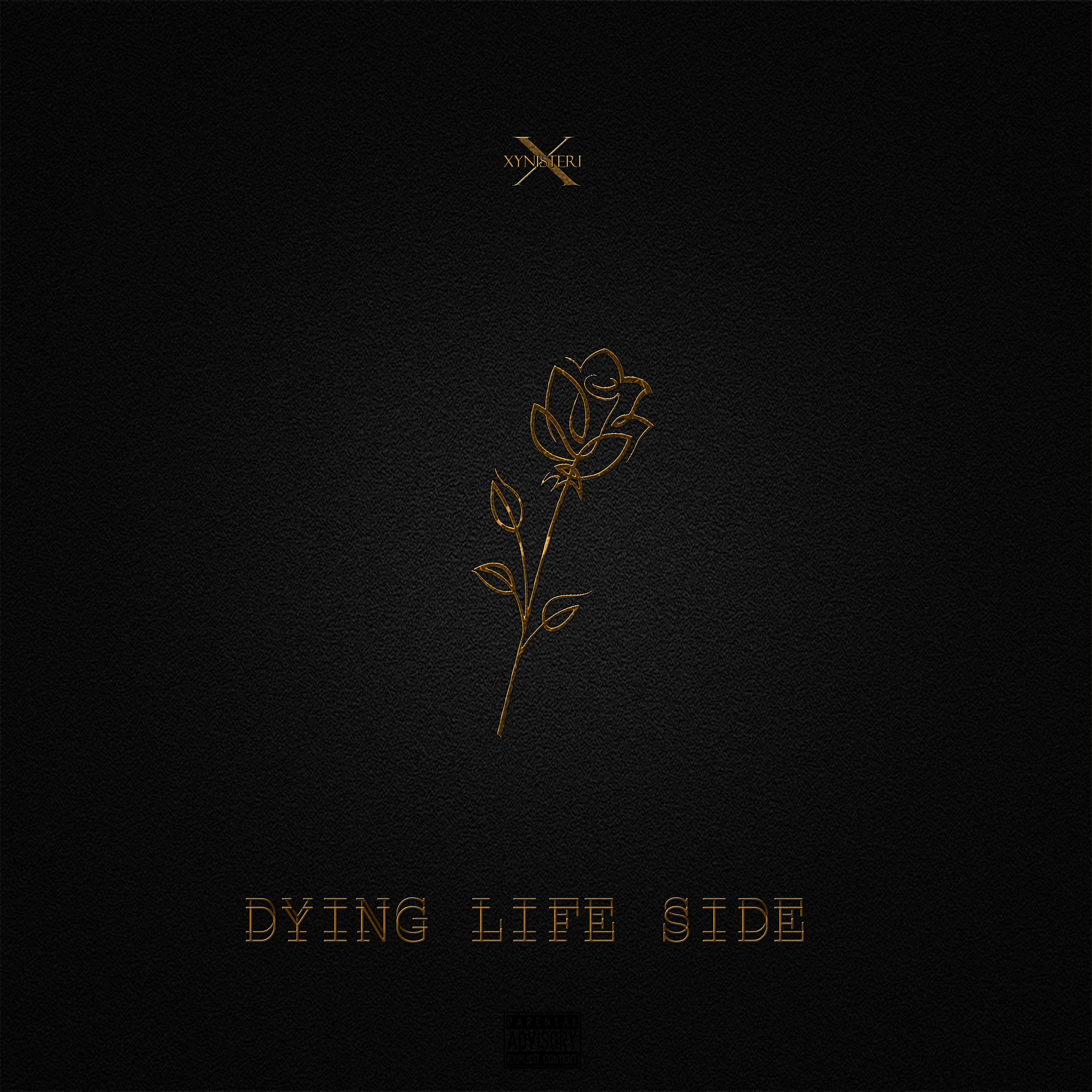 Постер альбома Dying Life Side