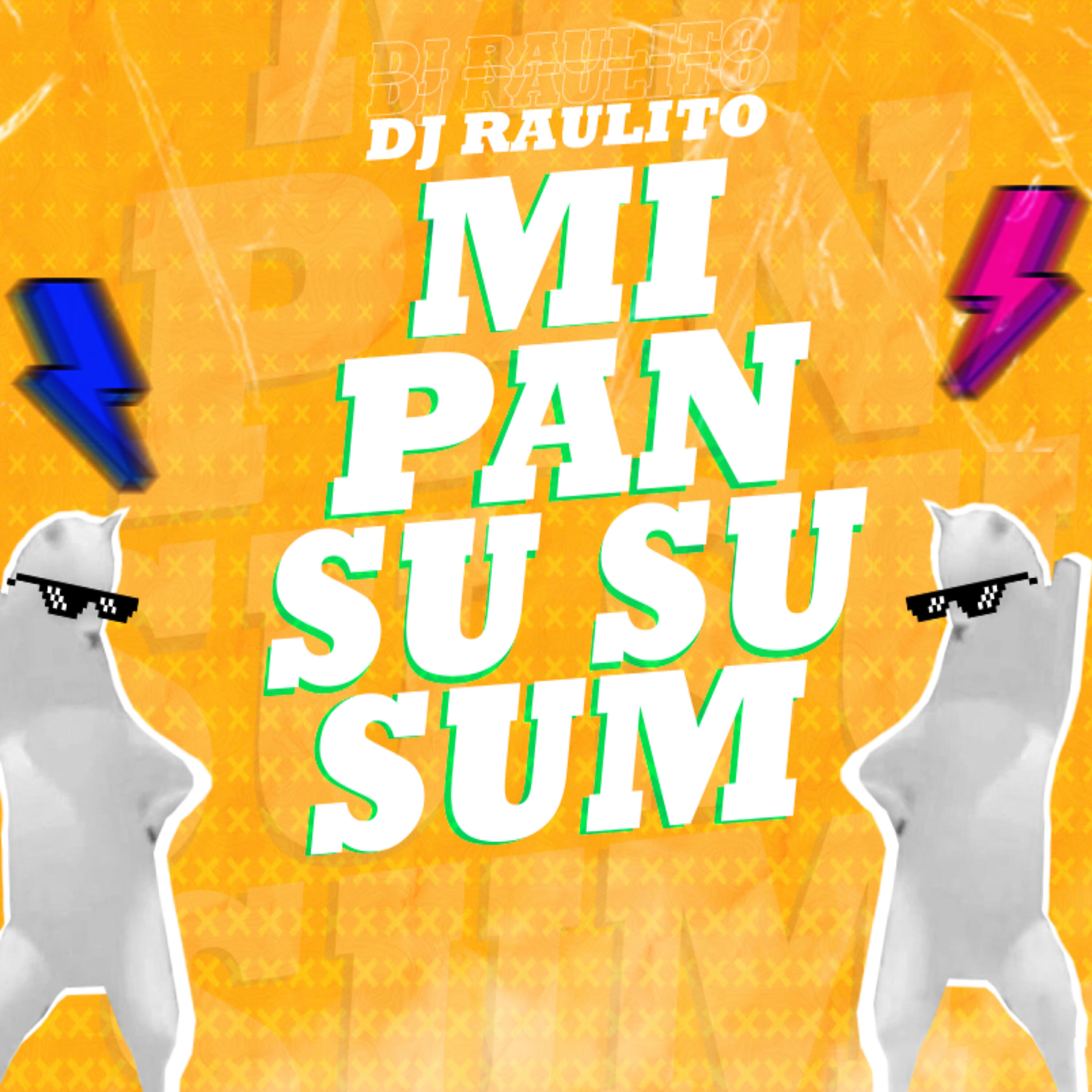 Dj Raulito - Mi Pan Su Su Summ