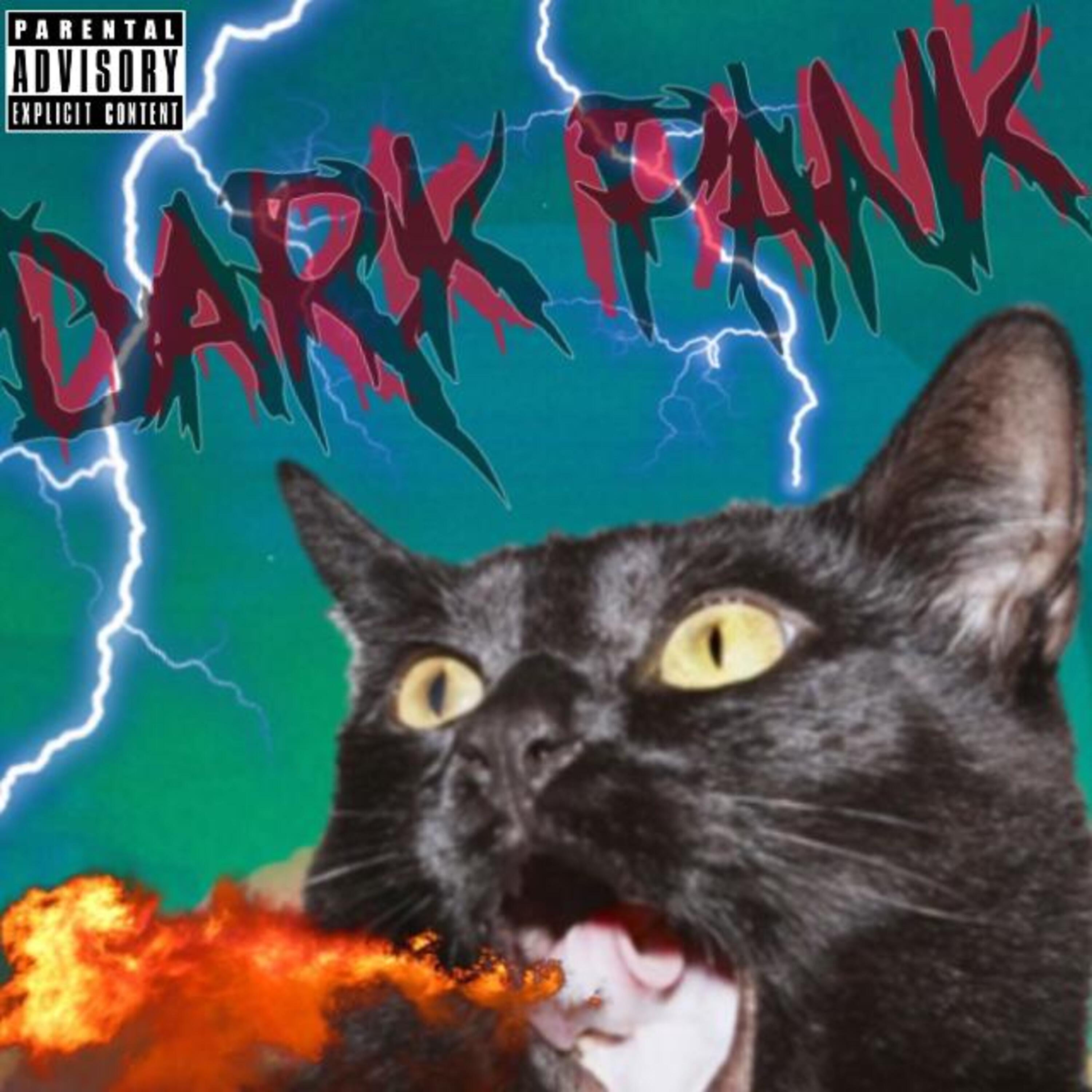 DarkPank - Чёрный кот