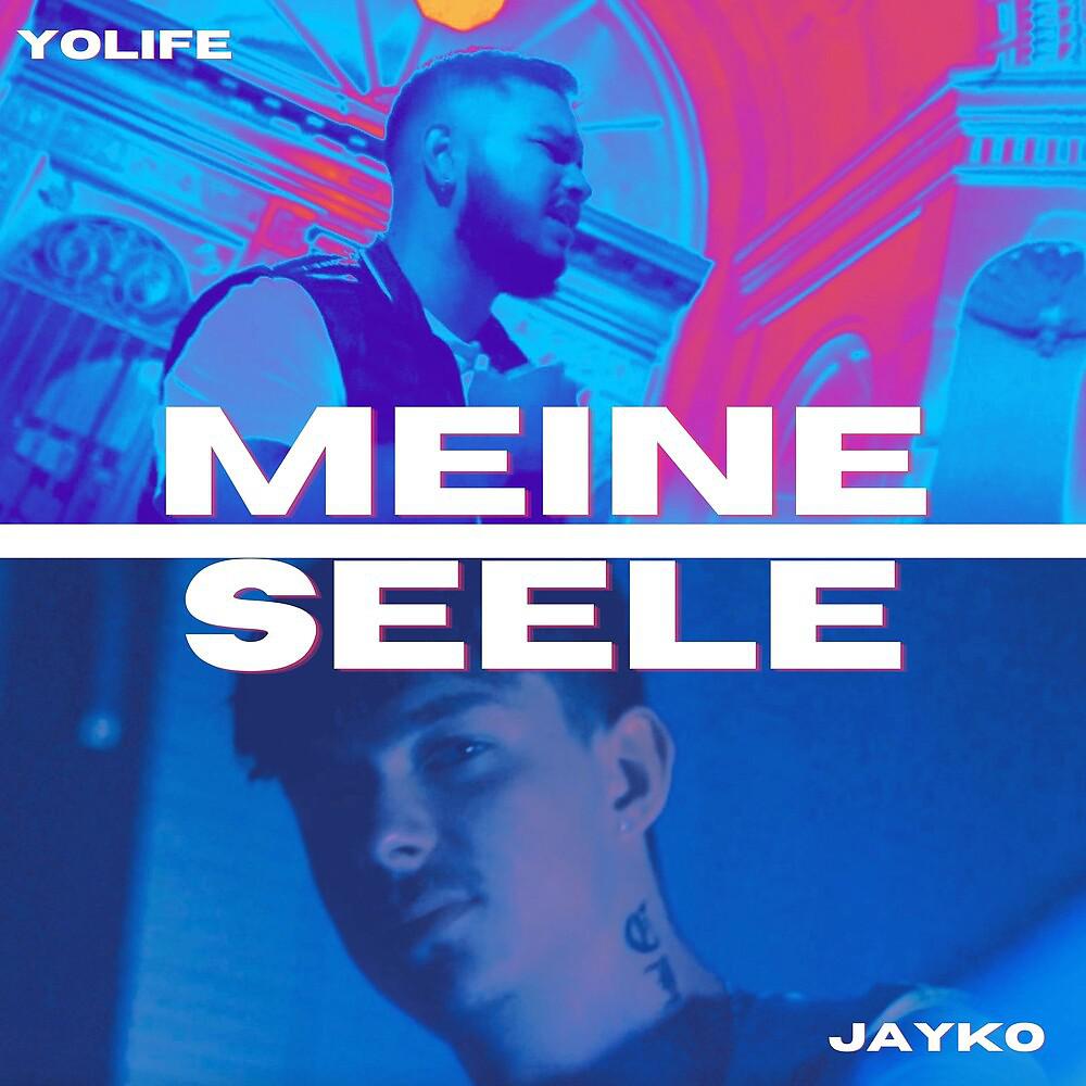 Постер альбома Meine Seele