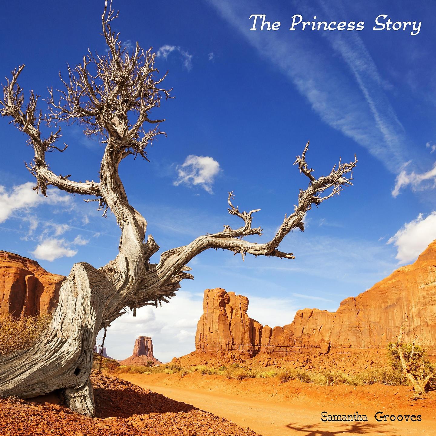 Постер альбома The Princess Story