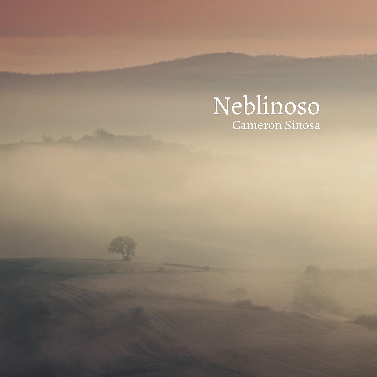 Постер альбома Neblinoso