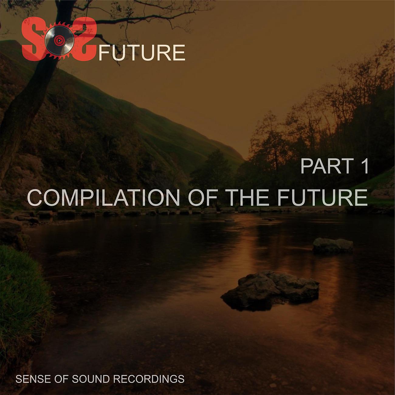 Постер альбома Compilation Of The Future Part1