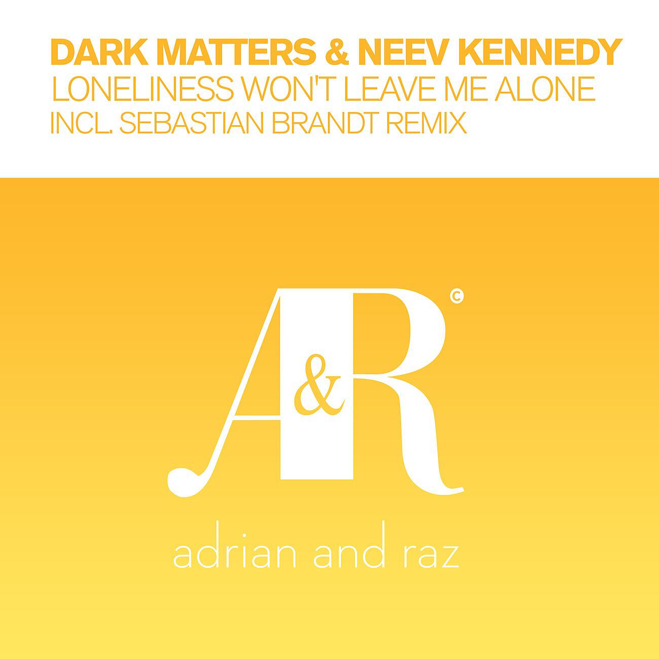 Dark Matters - Loneliness Won't Leave Me Alone (Sebastian Brandt Dub)