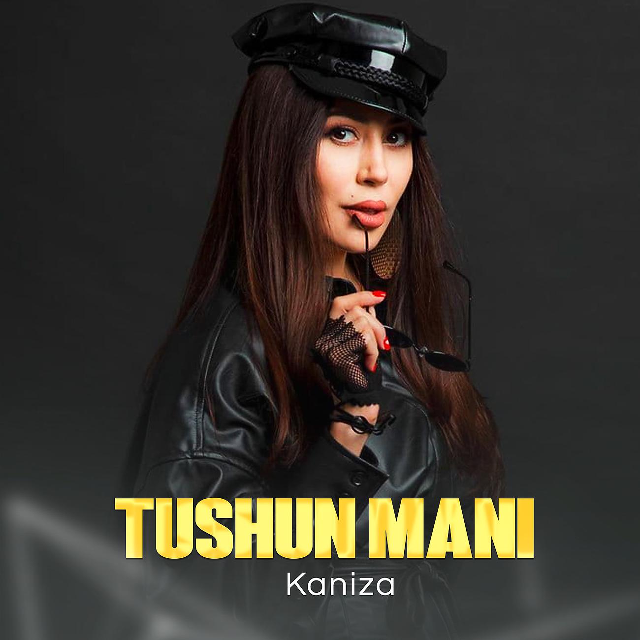 Постер альбома Tushun mani