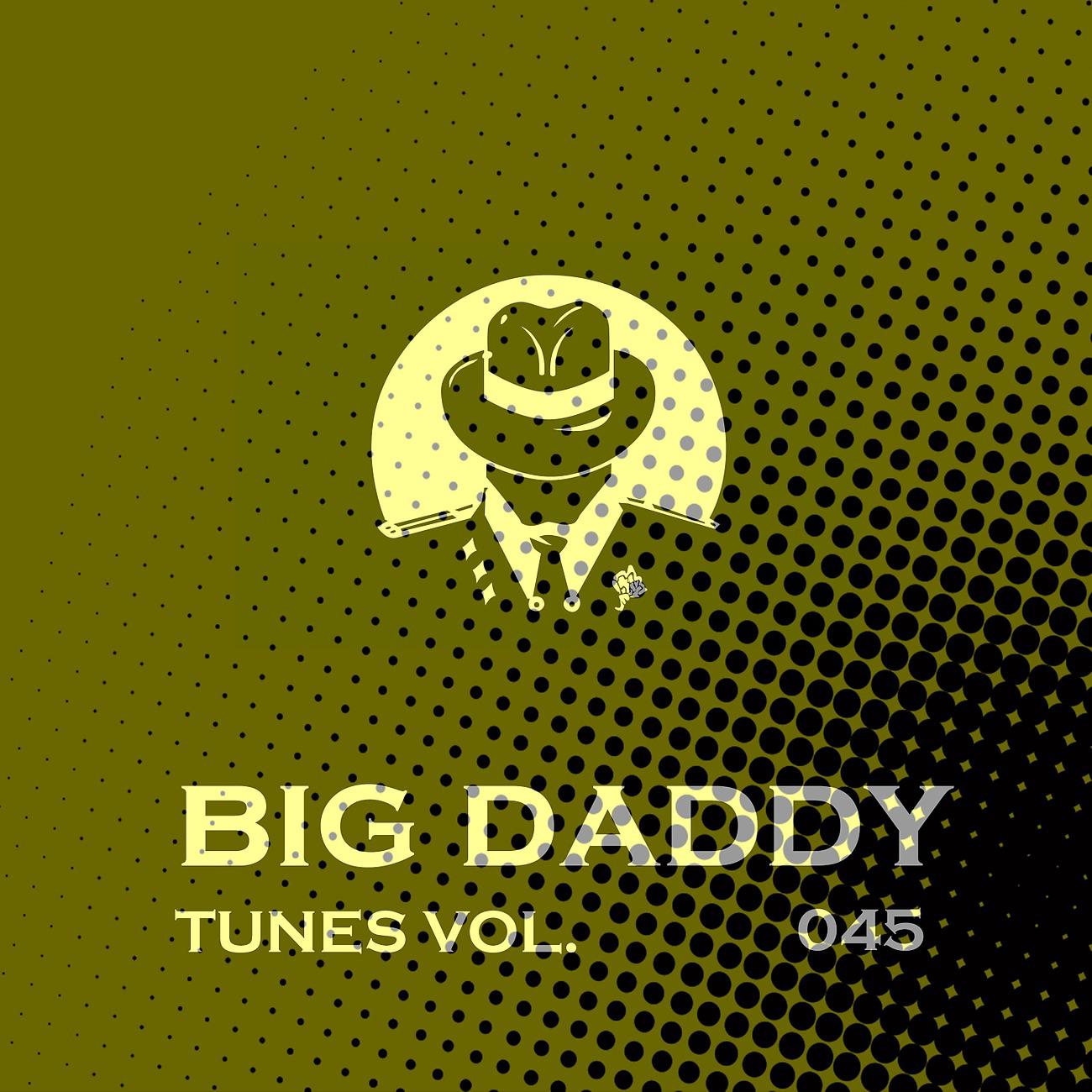 Постер альбома Big Daddy Tunes, Vol.045