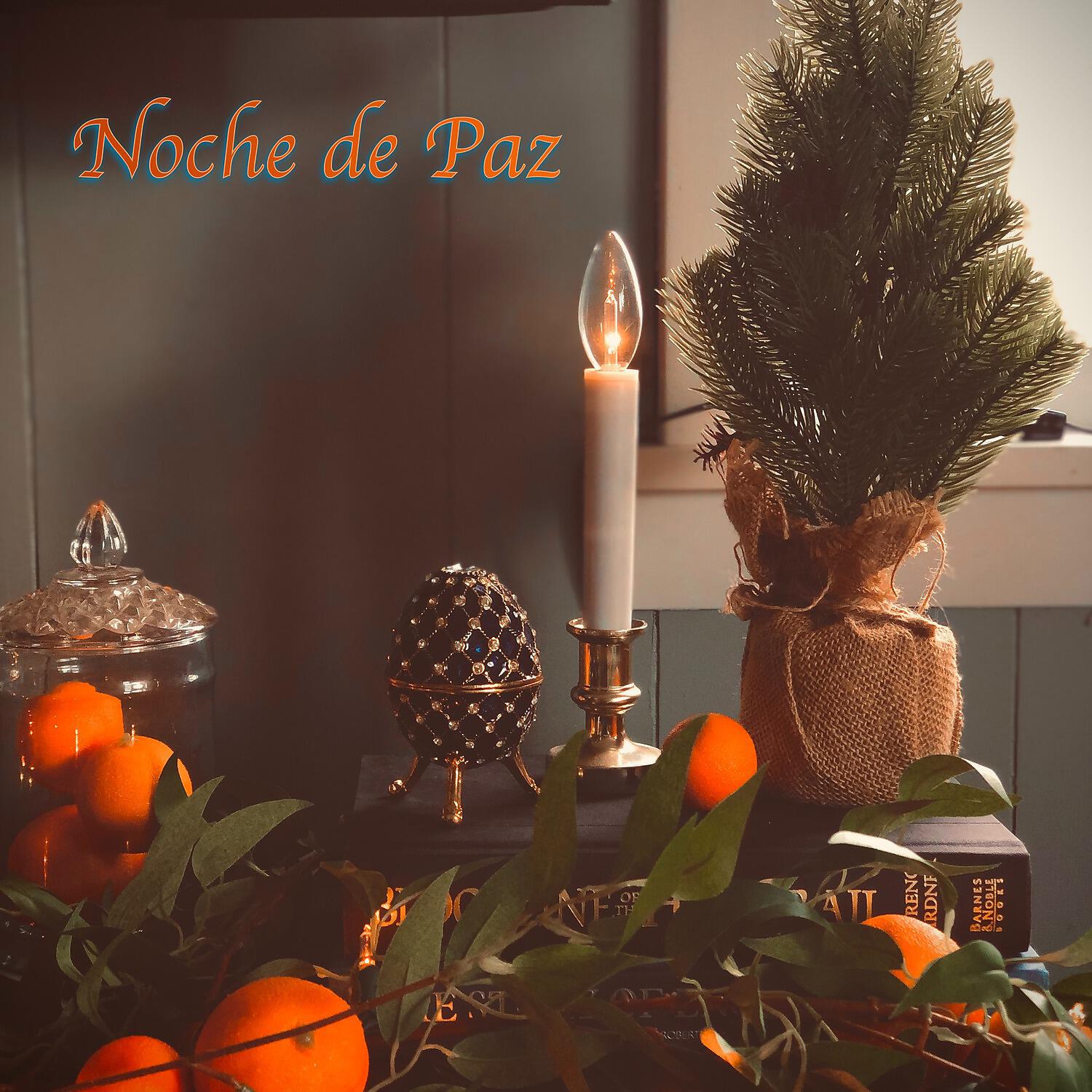Villancicos de Navidad y Canciones de Navidad - Noche de Paz
