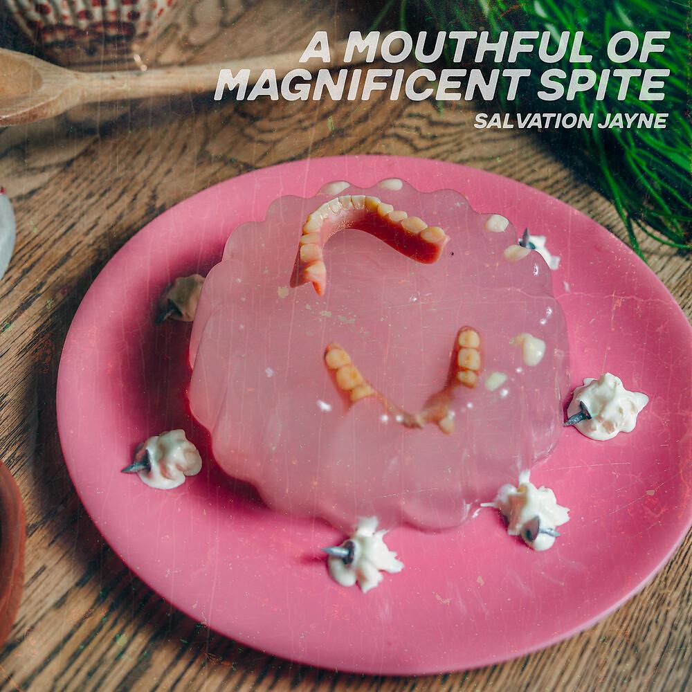 Постер альбома A Mouthful Of Magnificent Spite