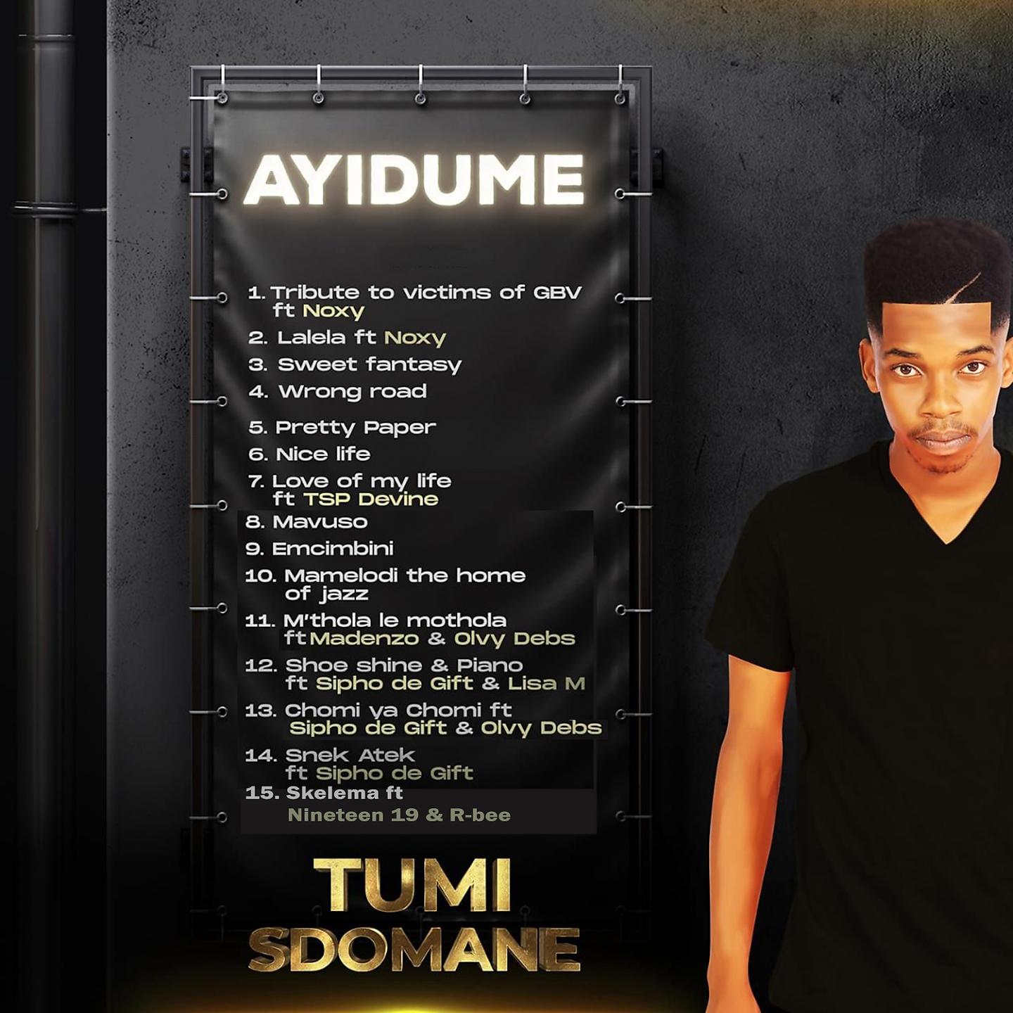 Постер альбома Ayidume