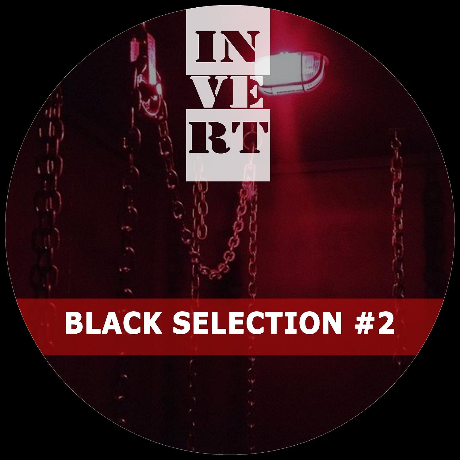 Постер альбома Black Selection, Vol. 2
