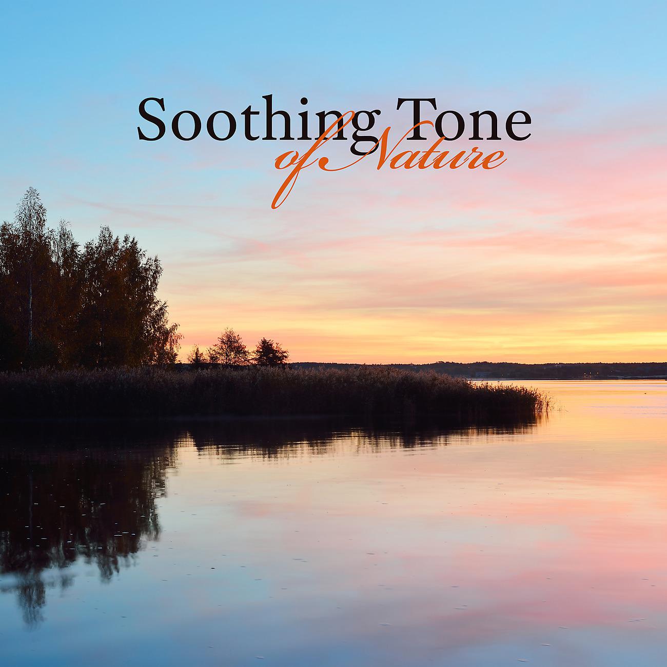 Постер альбома Soothing Tone of Nature