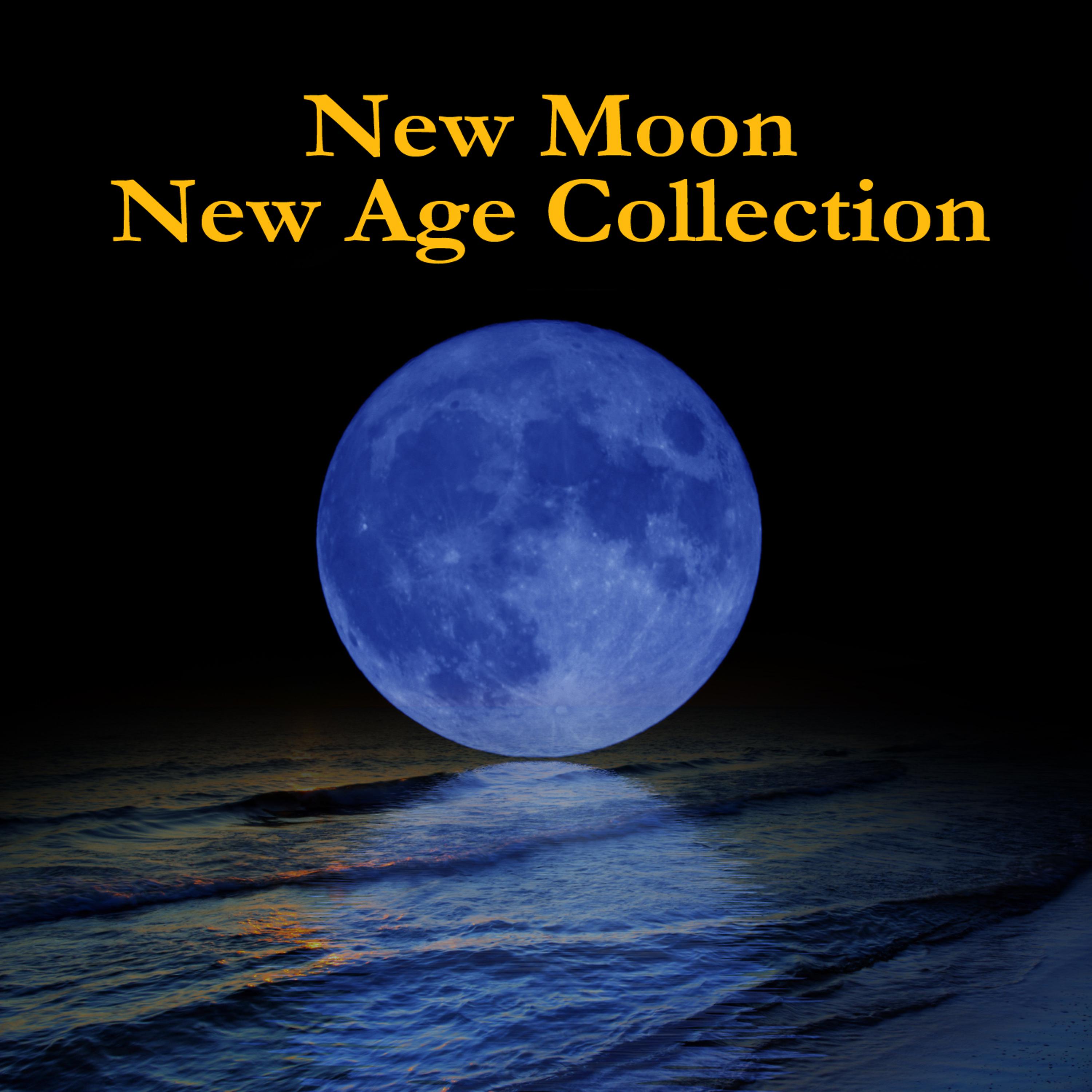 Постер альбома New Moon New Age Collection