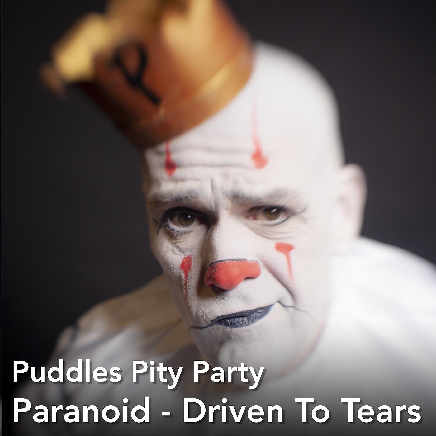 Постер альбома Paranoid - Driven to Tears