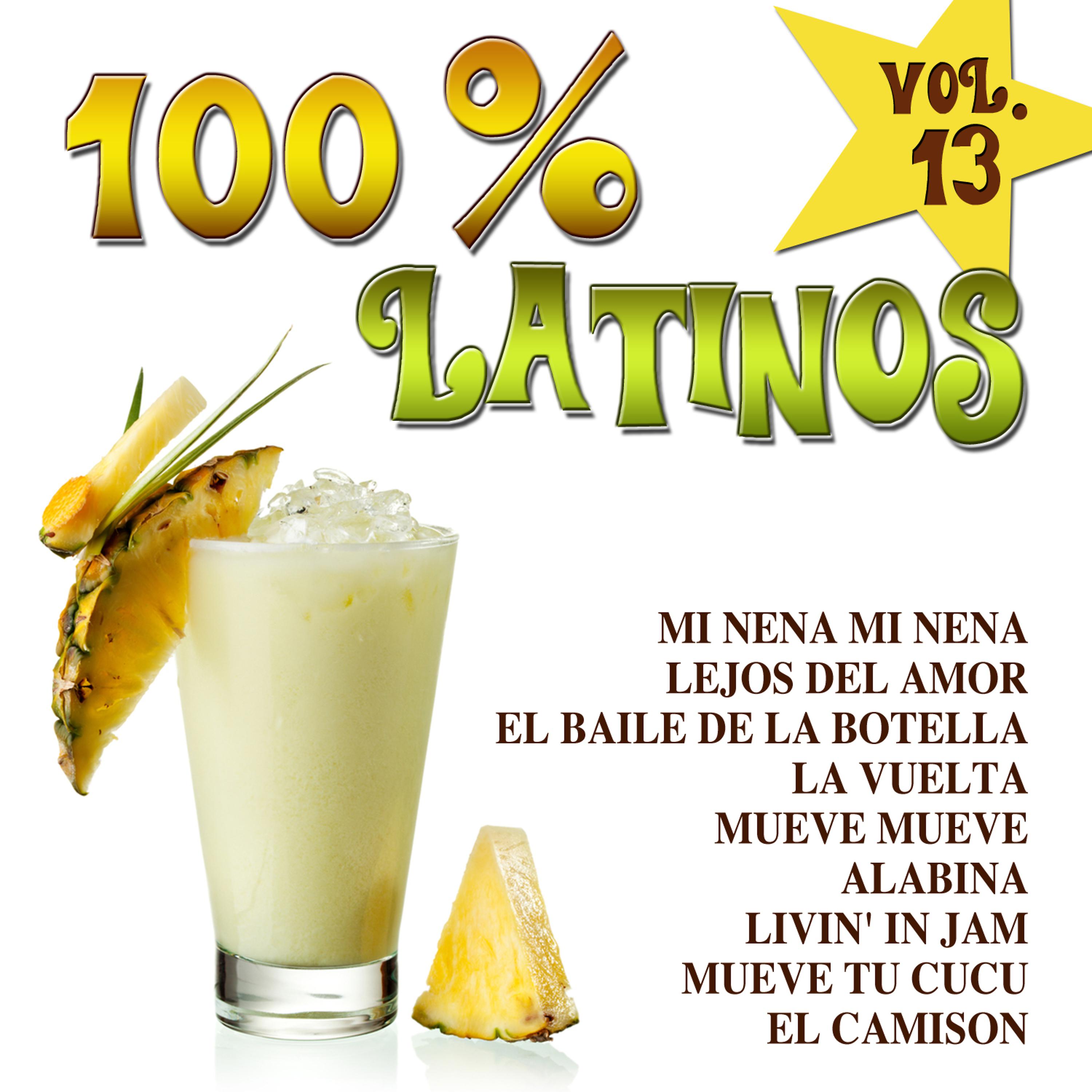 Постер альбома 100% Latinos Vol.13