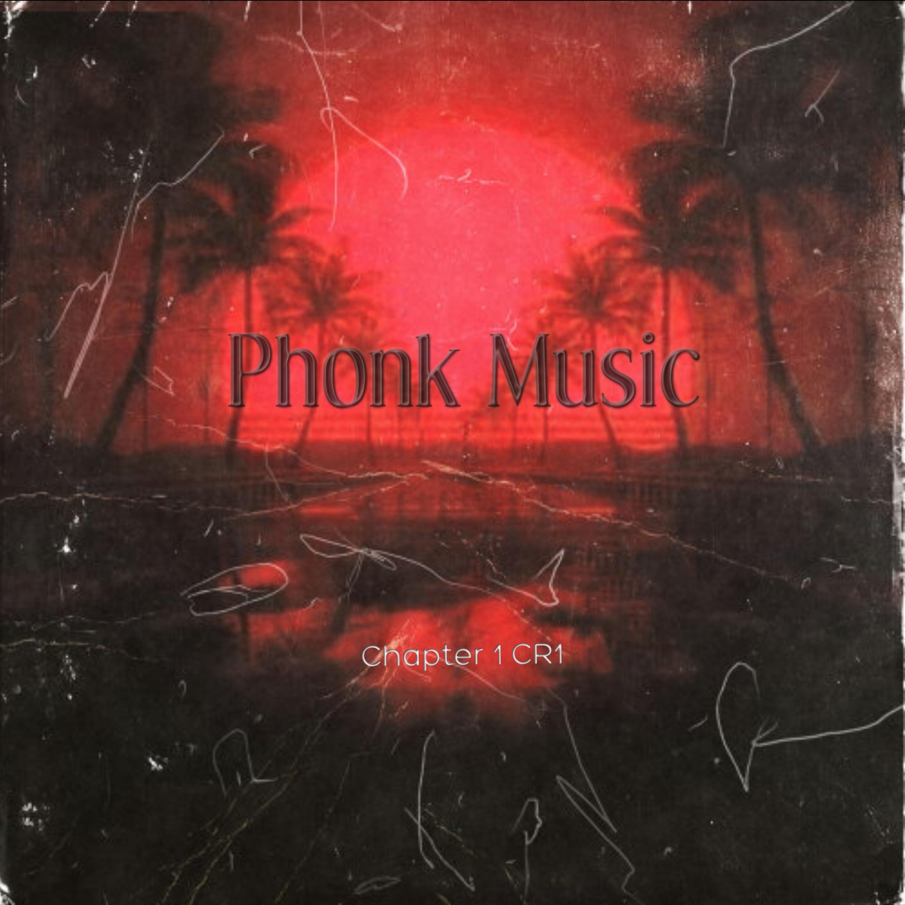 Постер альбома Phonk Music