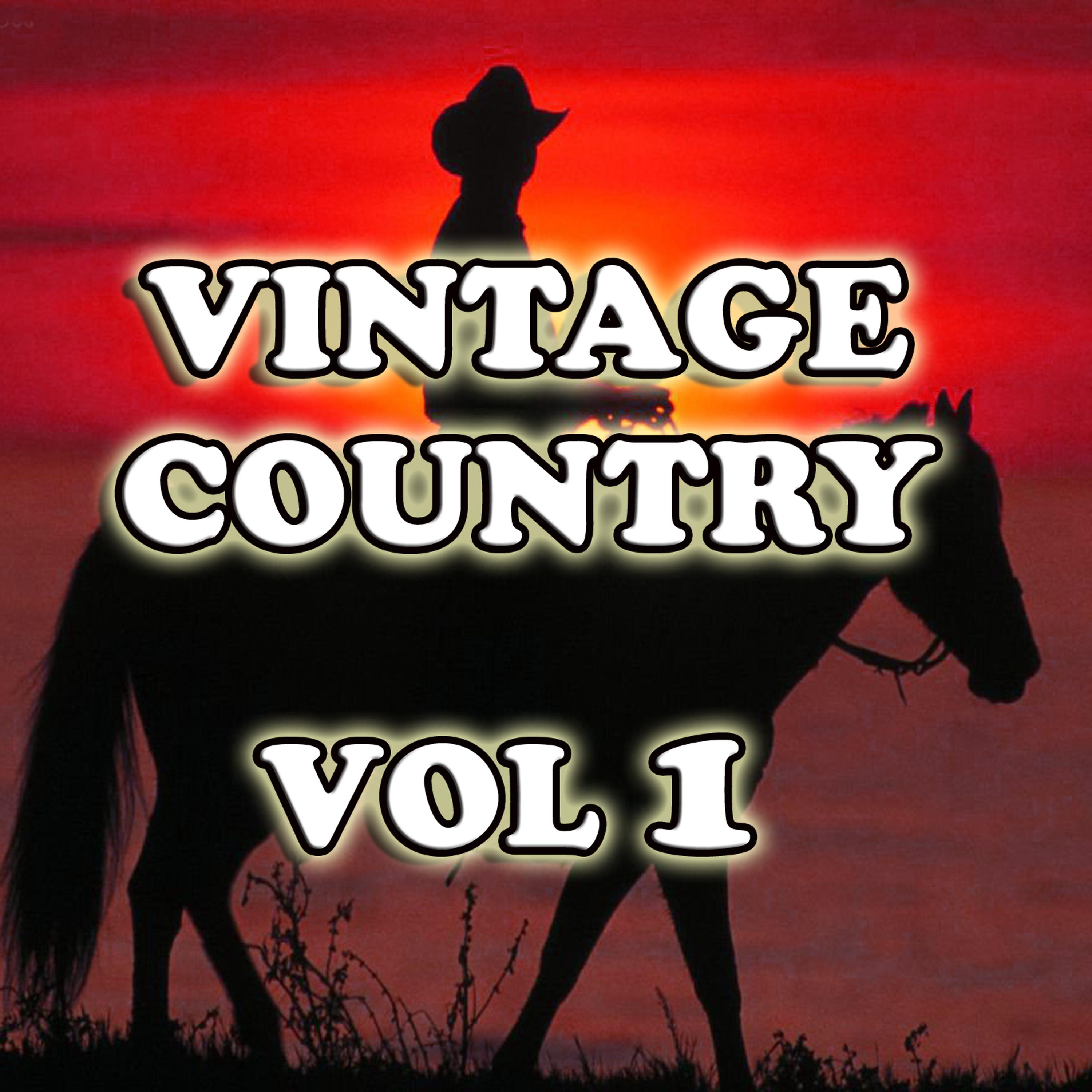Постер альбома Vintage Country Vol !