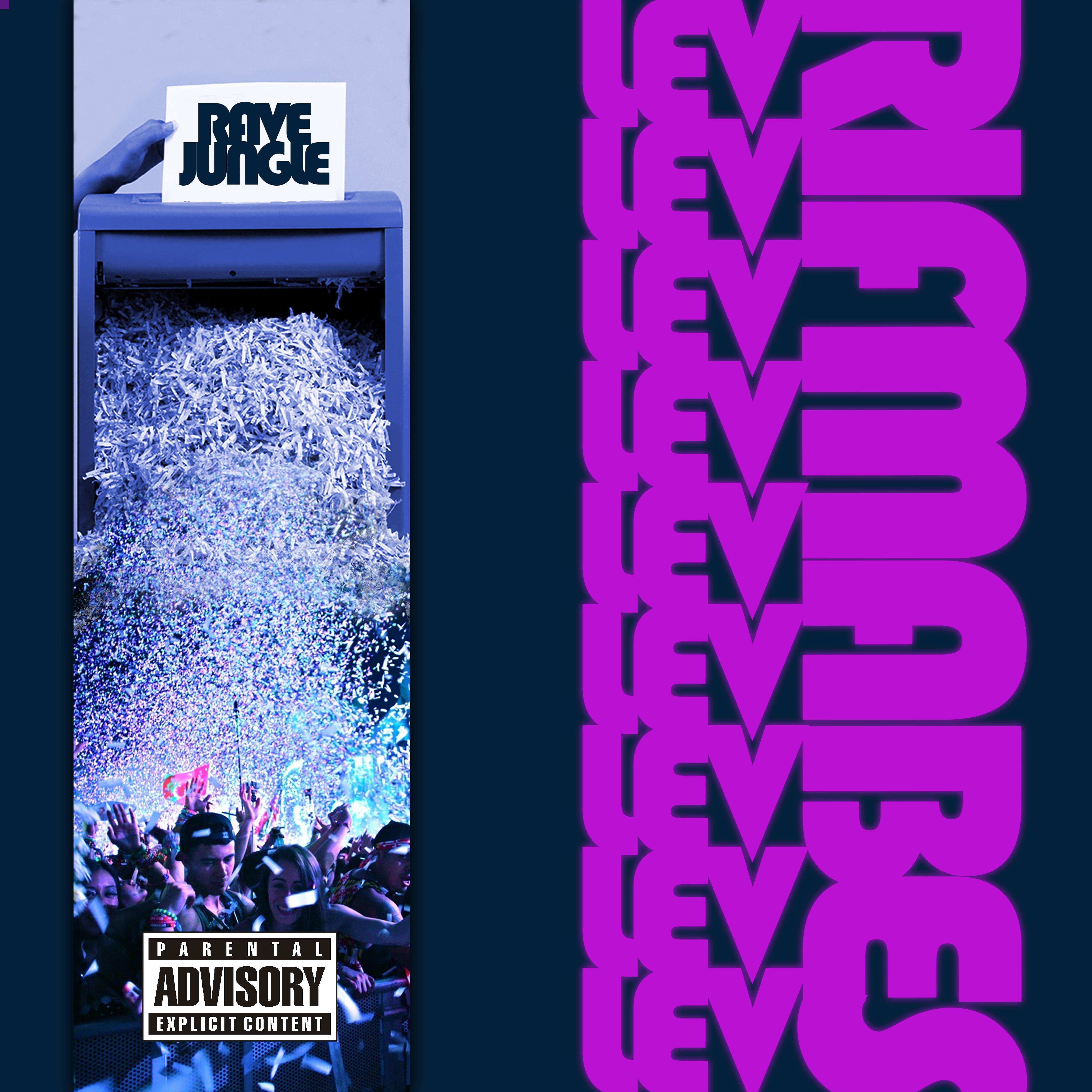 Постер альбома Rave Jungle