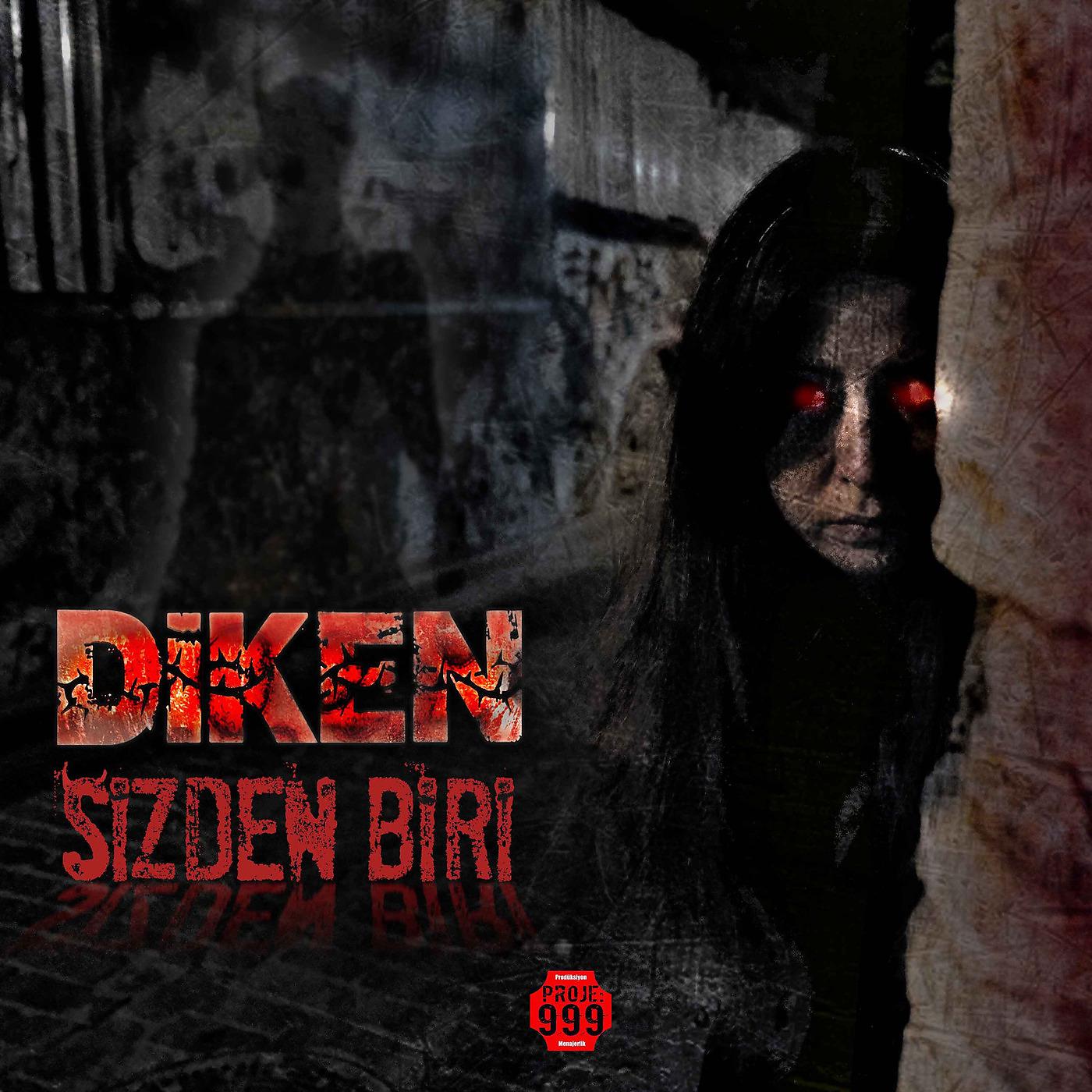 Постер альбома Sizden Biri