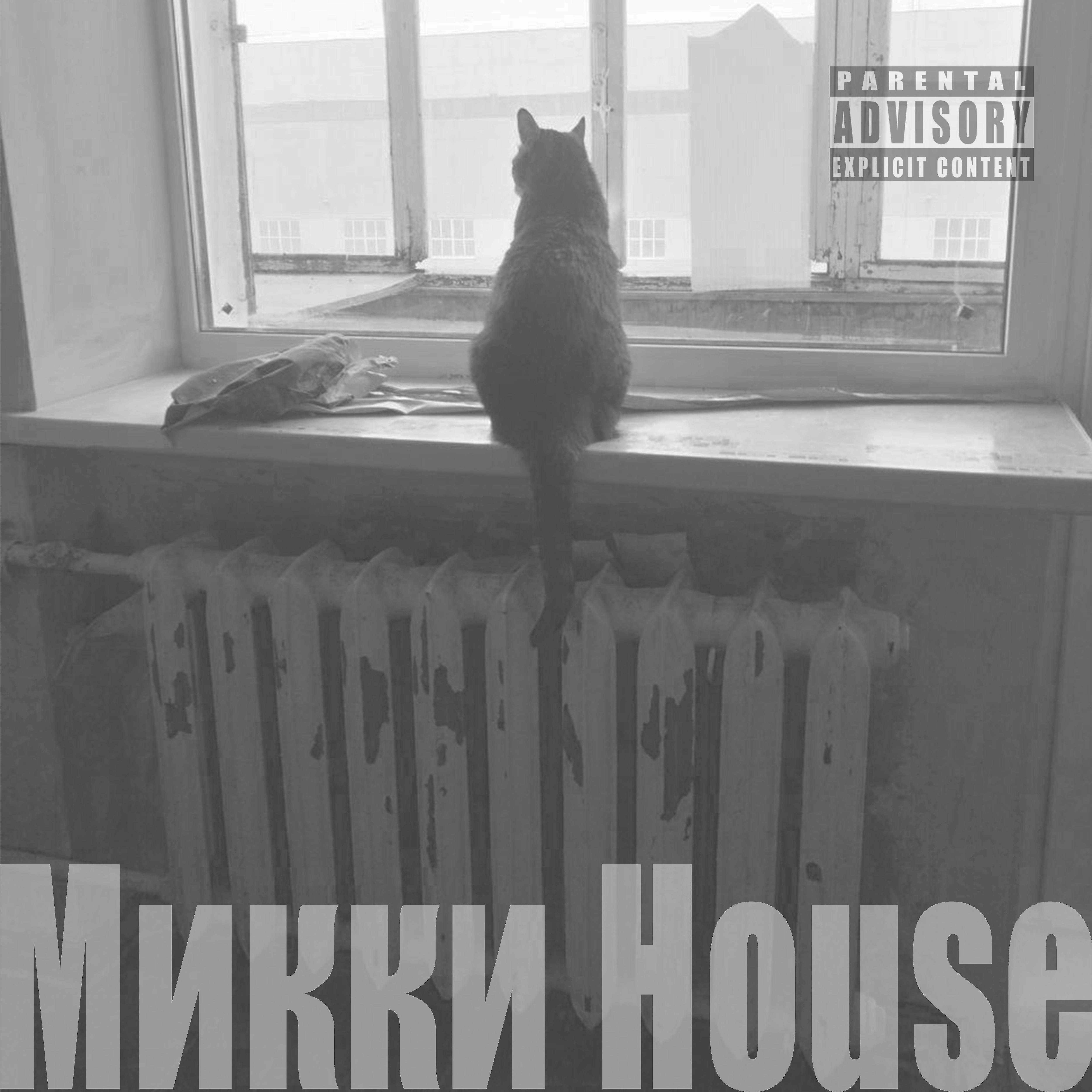Постер альбома Микки House