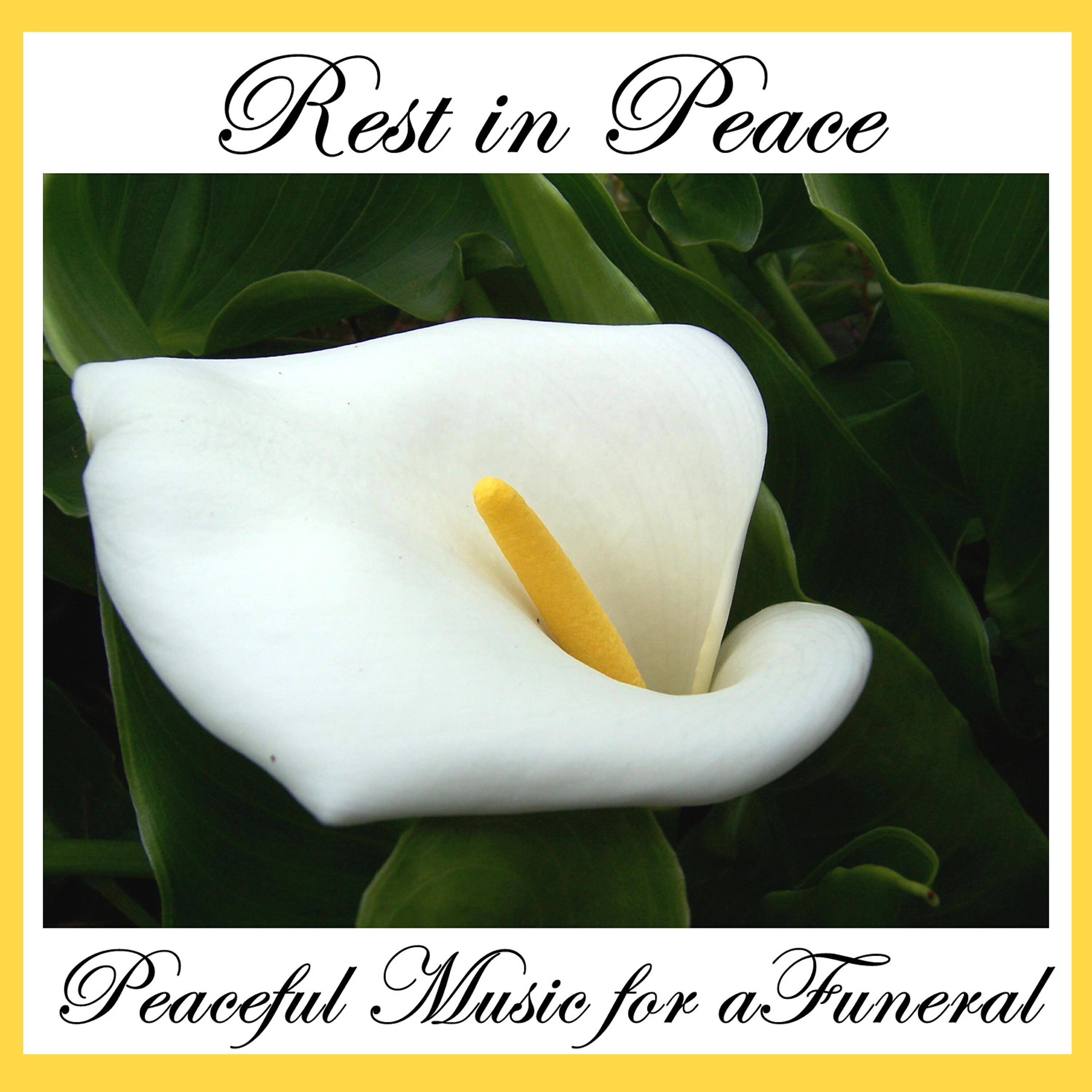 American Music Experts - For the Beauty of the Earth