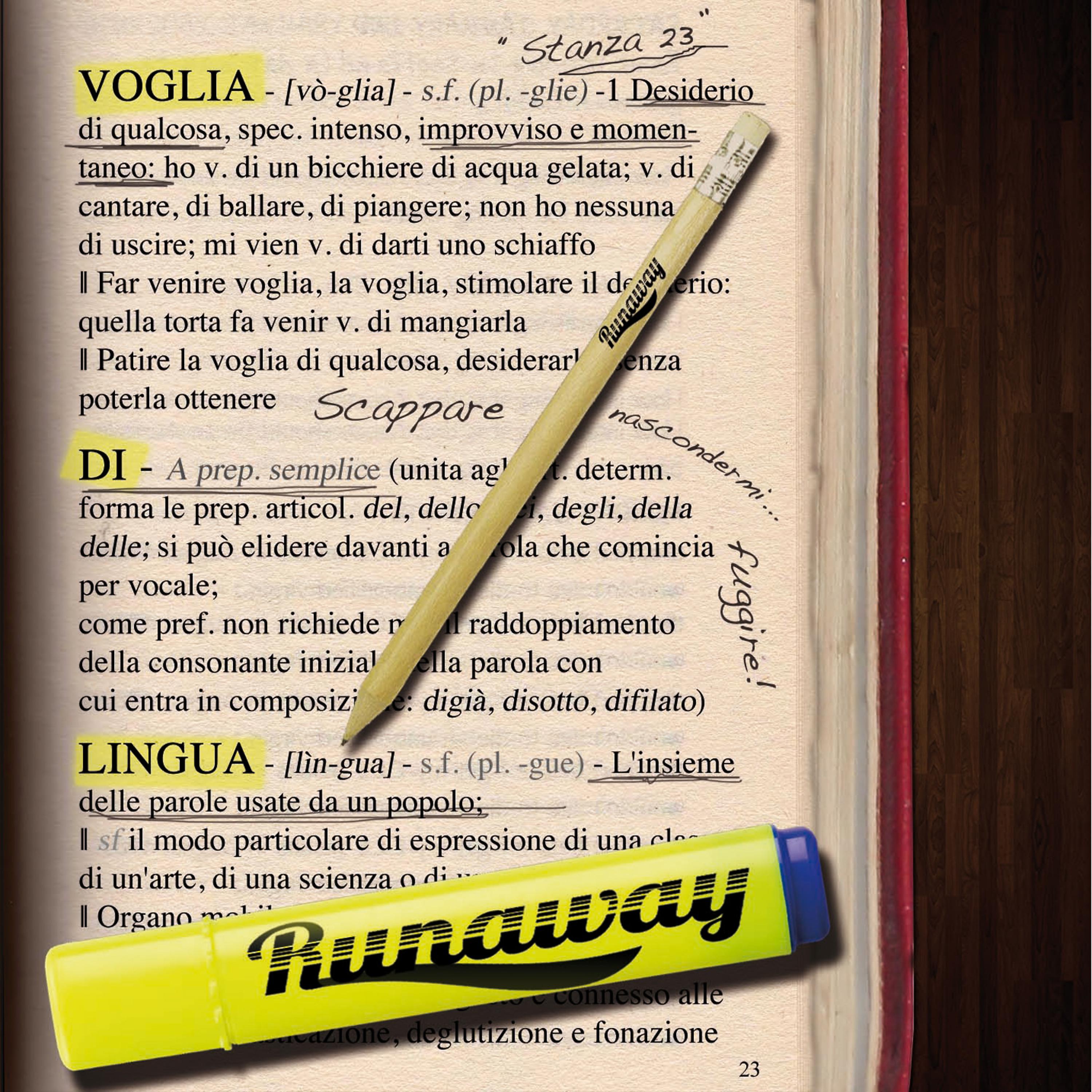 Постер альбома Voglia di Lingua