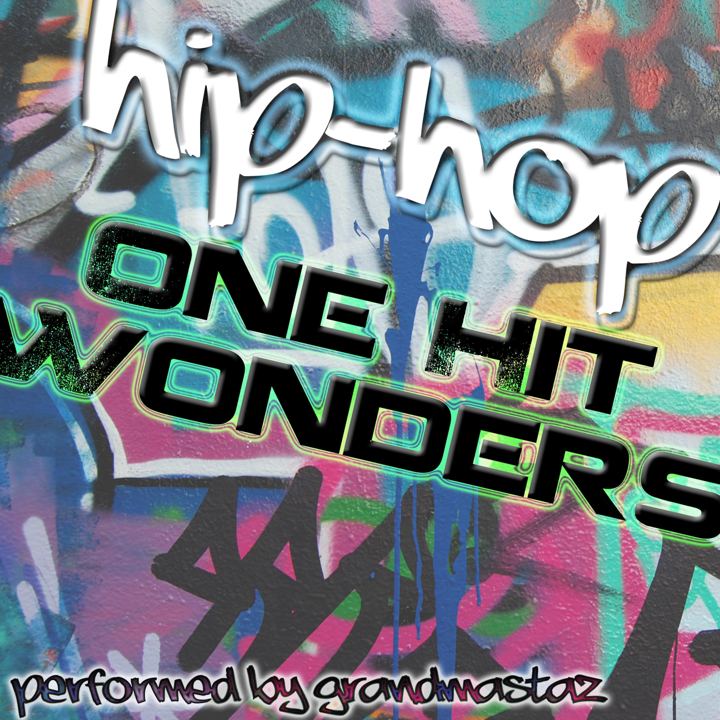 Постер альбома Hip-Hop One Hit Wonders