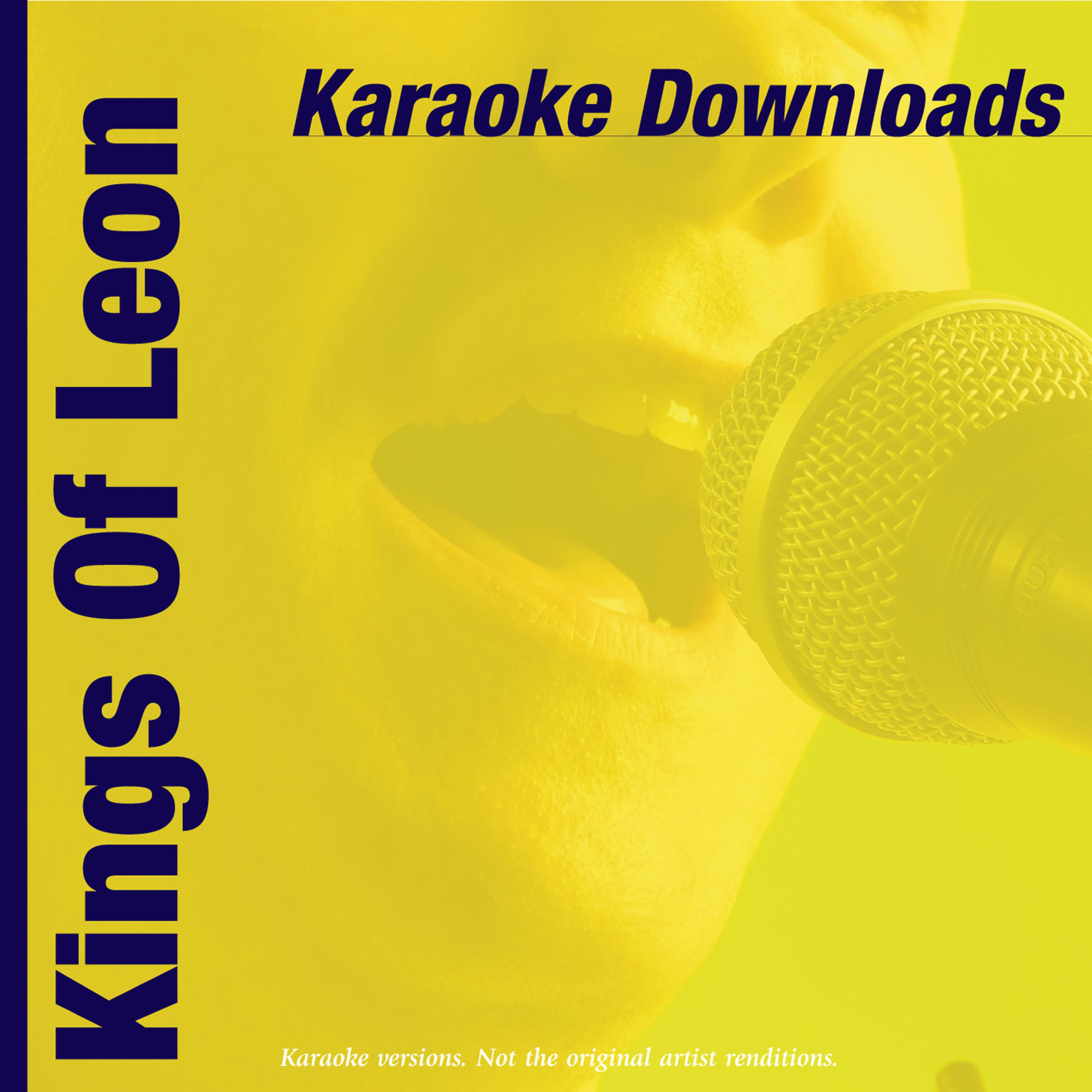 Постер альбома Karaoke Downloads - Kings Of Leon