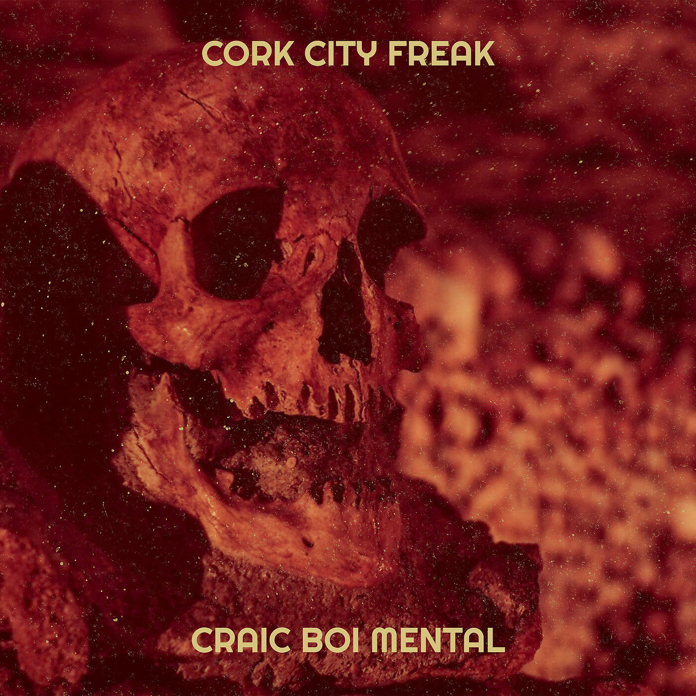 Craic Boi Mental - Cork City Freak