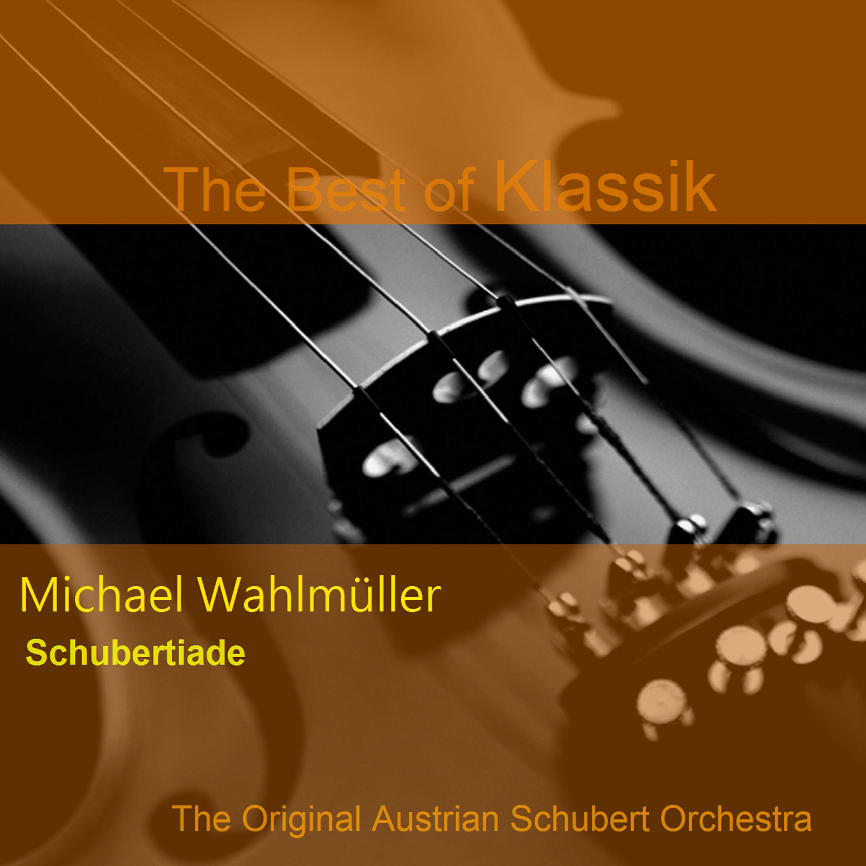 Wahlmüller Michael - Sinfonie Nr. 8 h-Moll (Unvollendete) D 759: Allegro Moderato