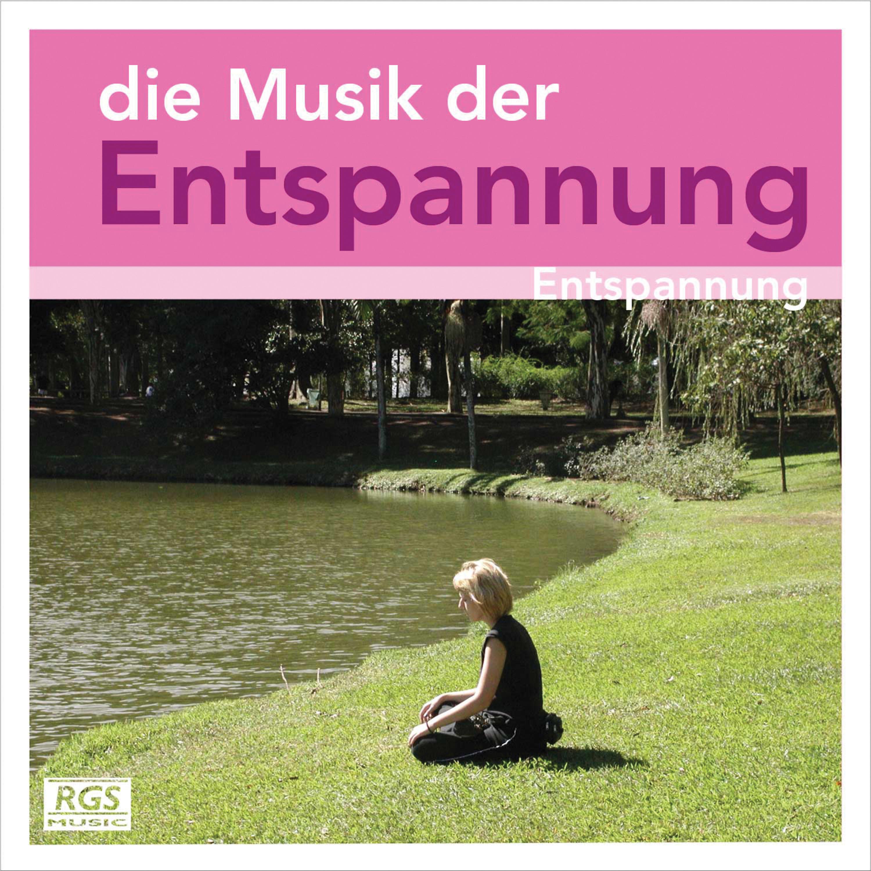 Постер альбома Die Musik Der Entspannung