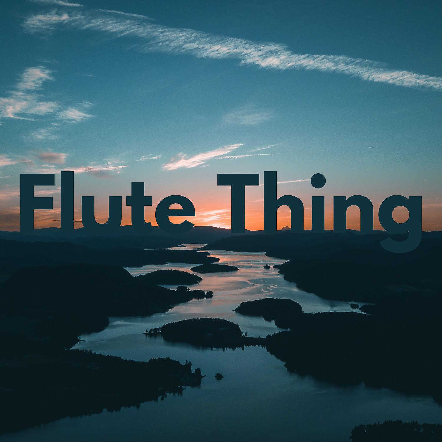 Постер альбома Flute Thing