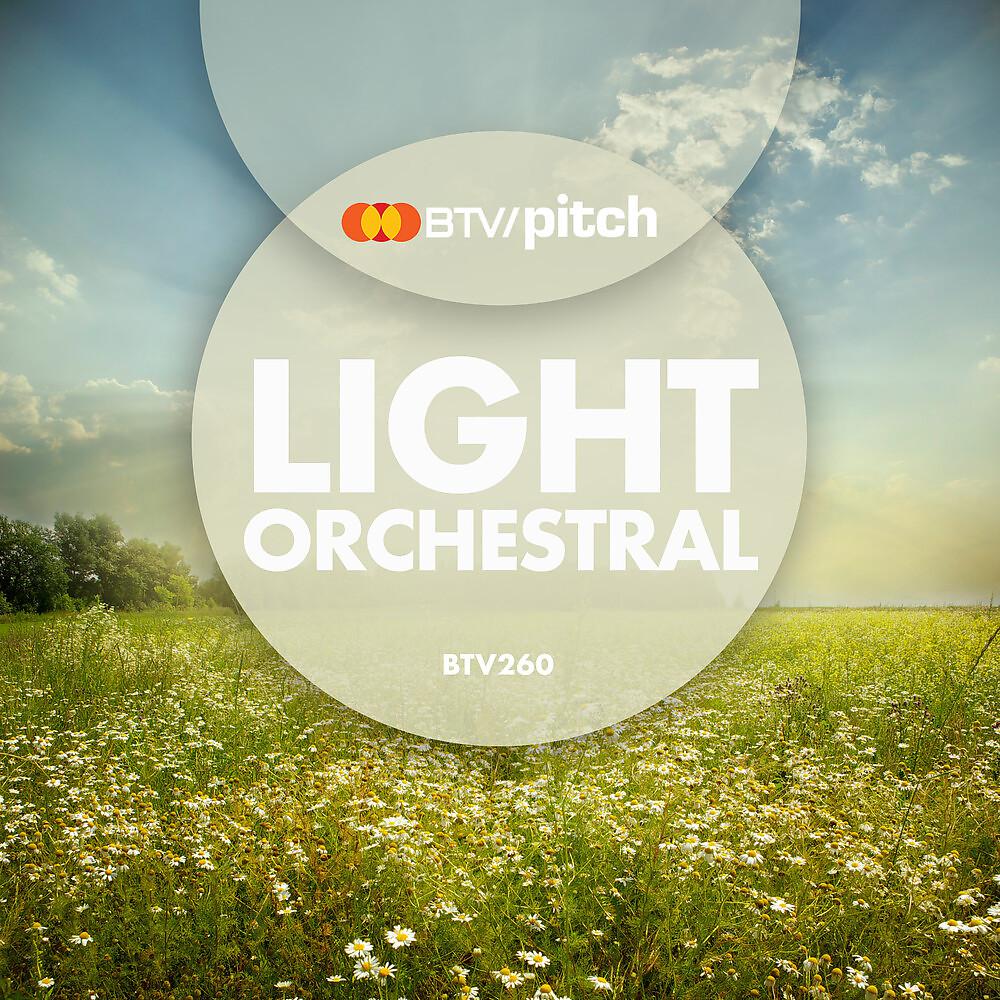 Постер альбома Light Orchestral