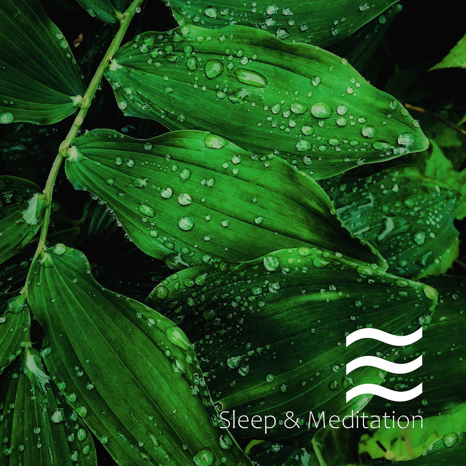 Melatonin Nature - Smooth Calmful Nature for Sleep and Relax