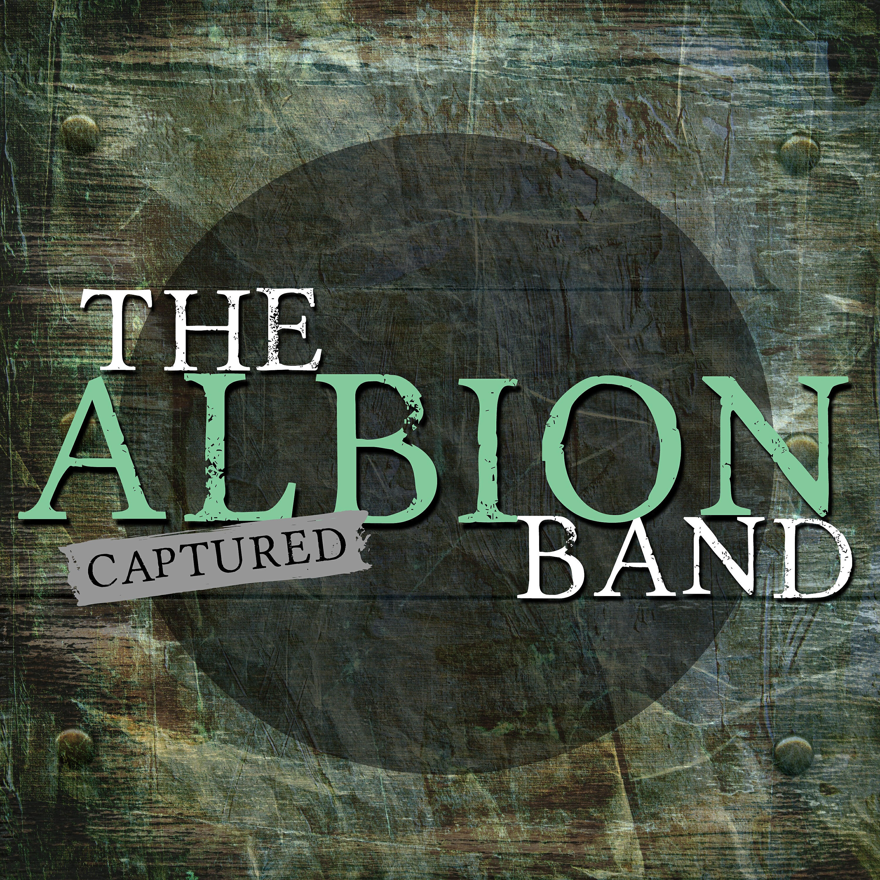 The Albion Band - The Party's Over