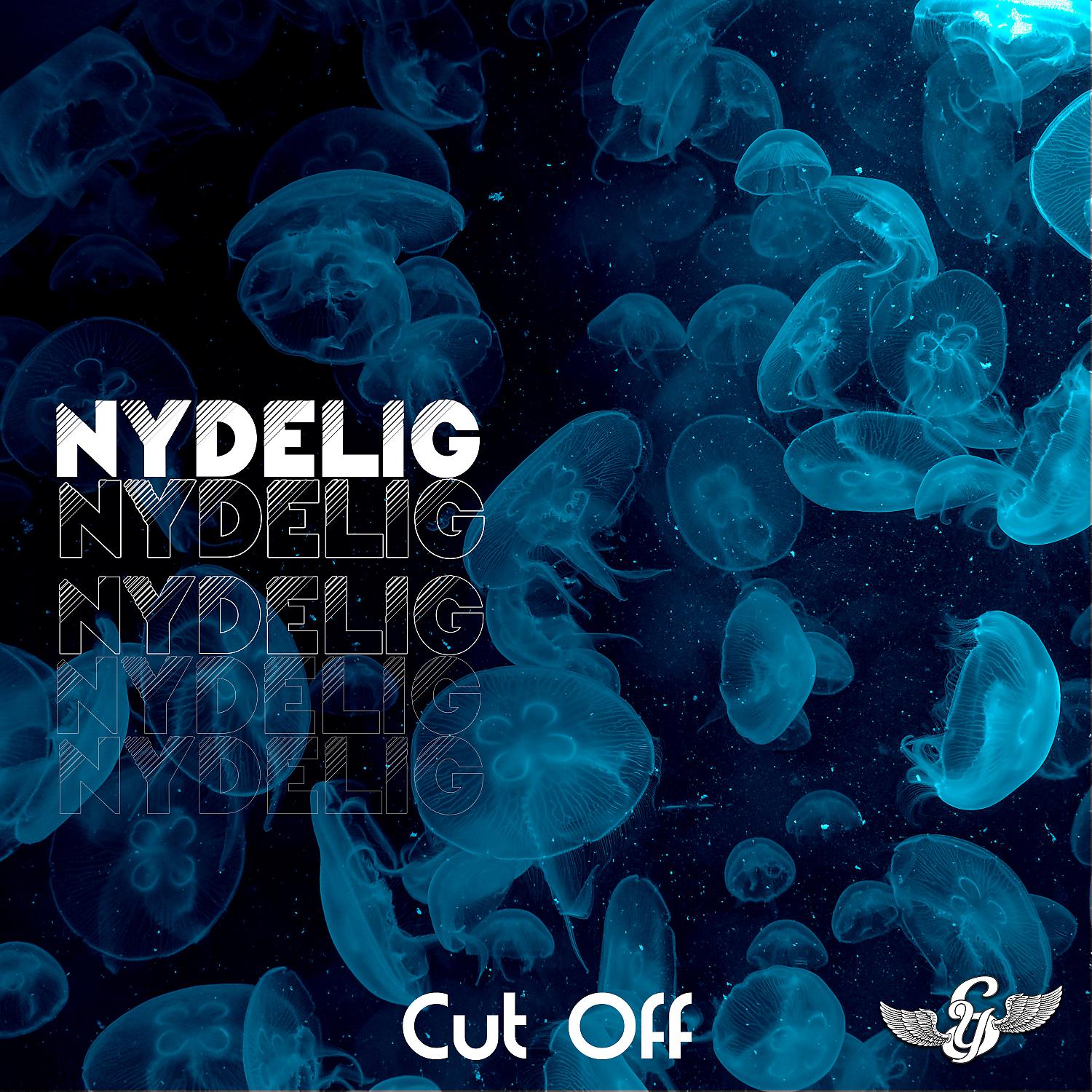 Постер альбома Nydelig