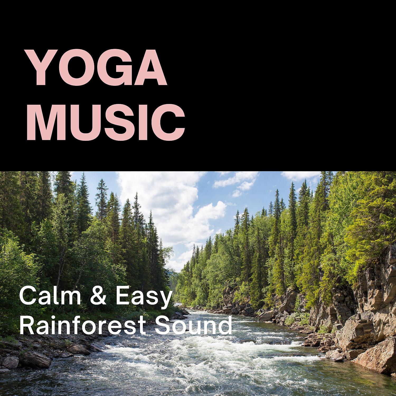 Постер альбома Yoga Music: Calm & Easy Rainforest Sound