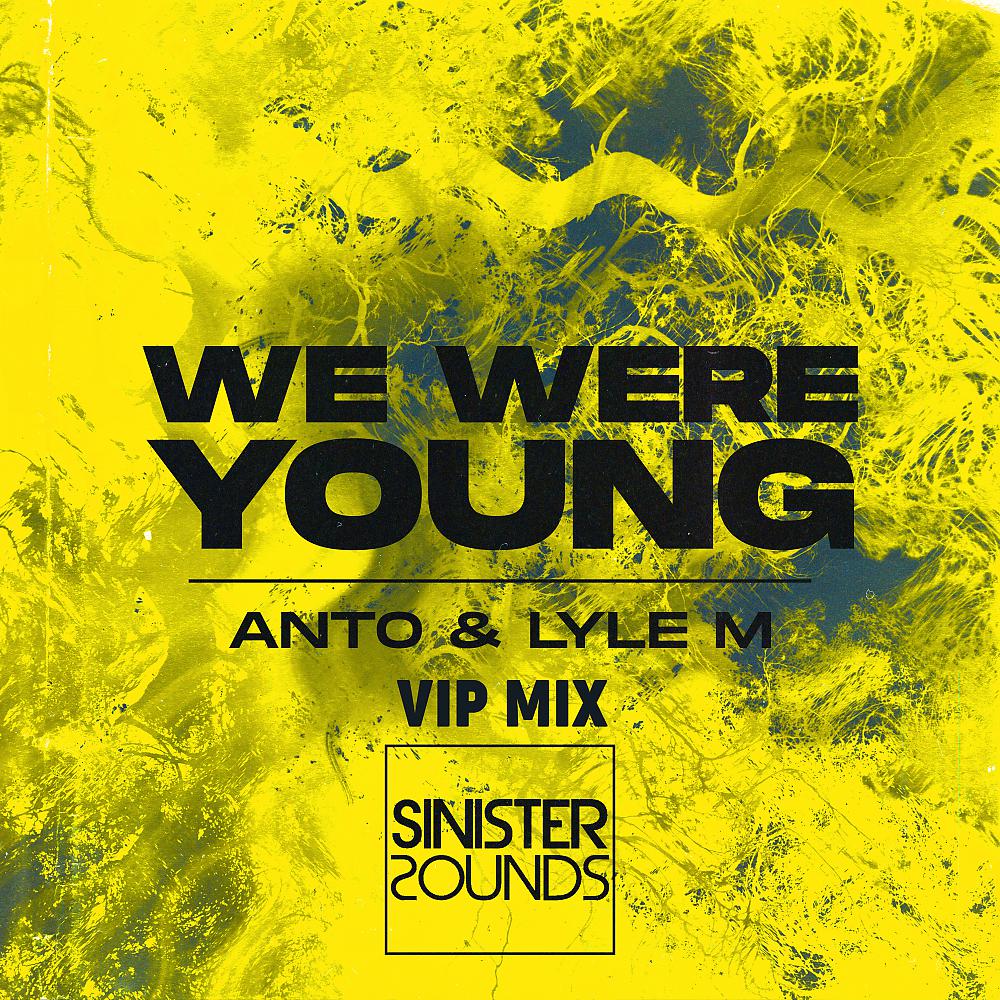 Постер альбома We Were Young (VIP Mix)