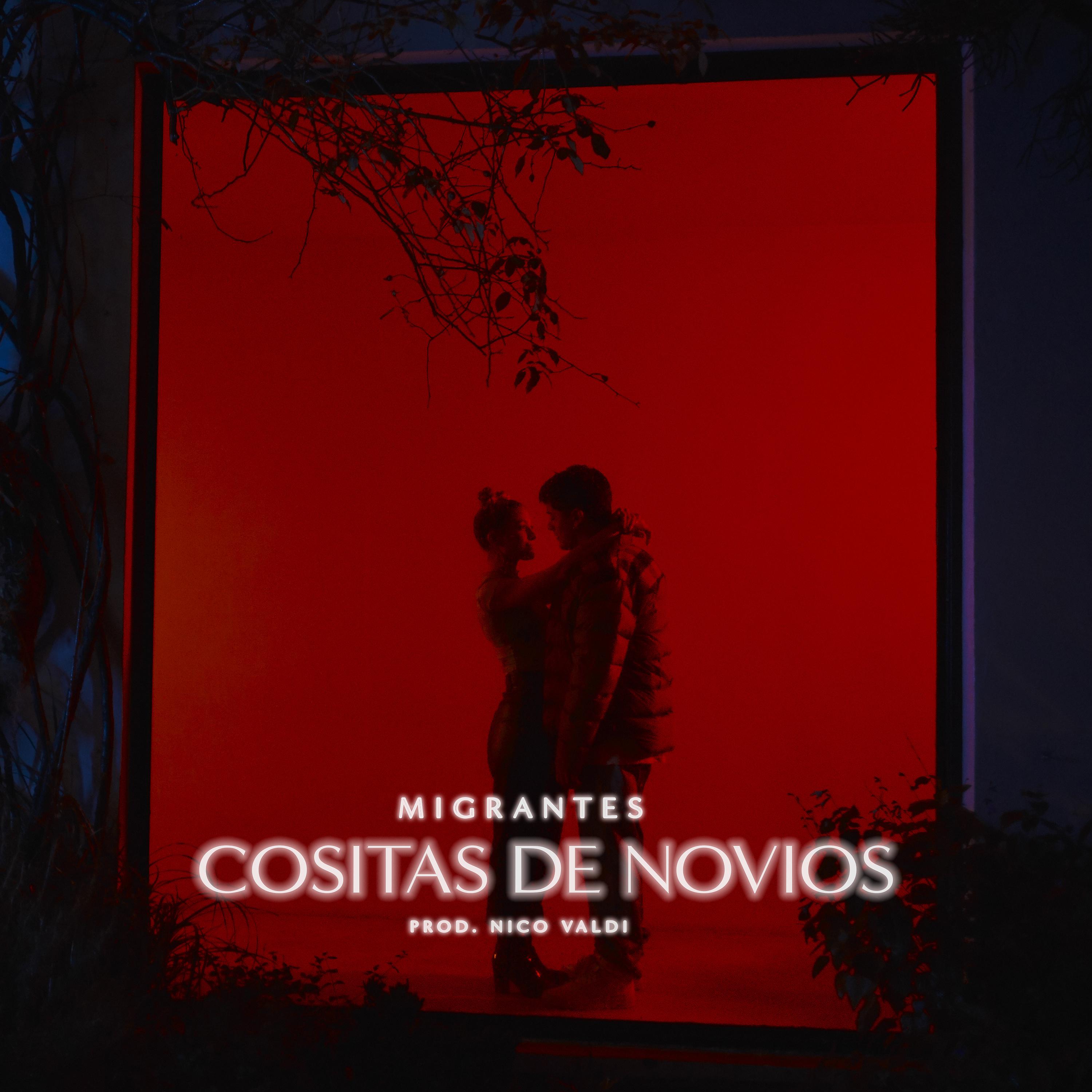 Постер альбома Cositas de Novios