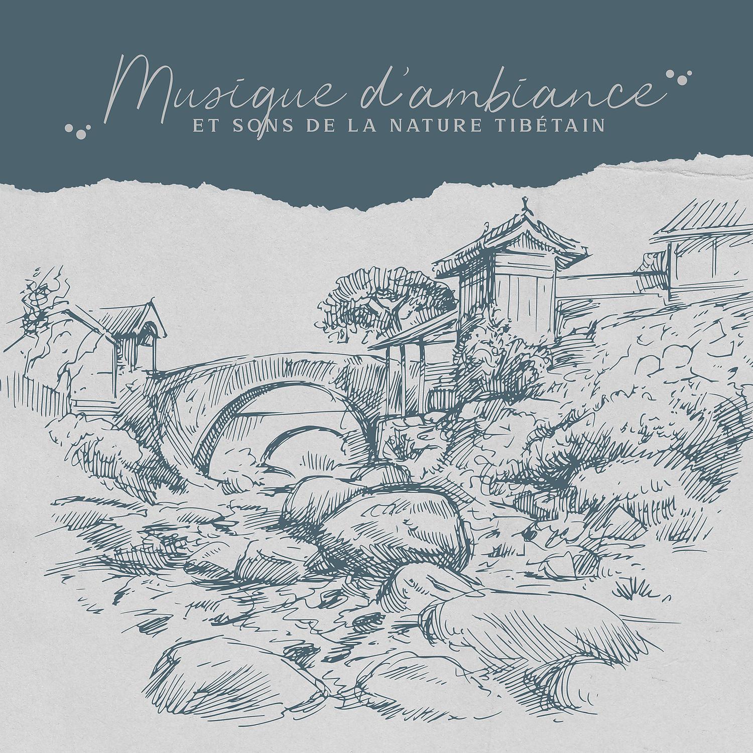 Постер альбома Musique d’ambiance et sons de la nature tibétain: Sommeil Profond, Méditation bouddhiste, Pratique zazen