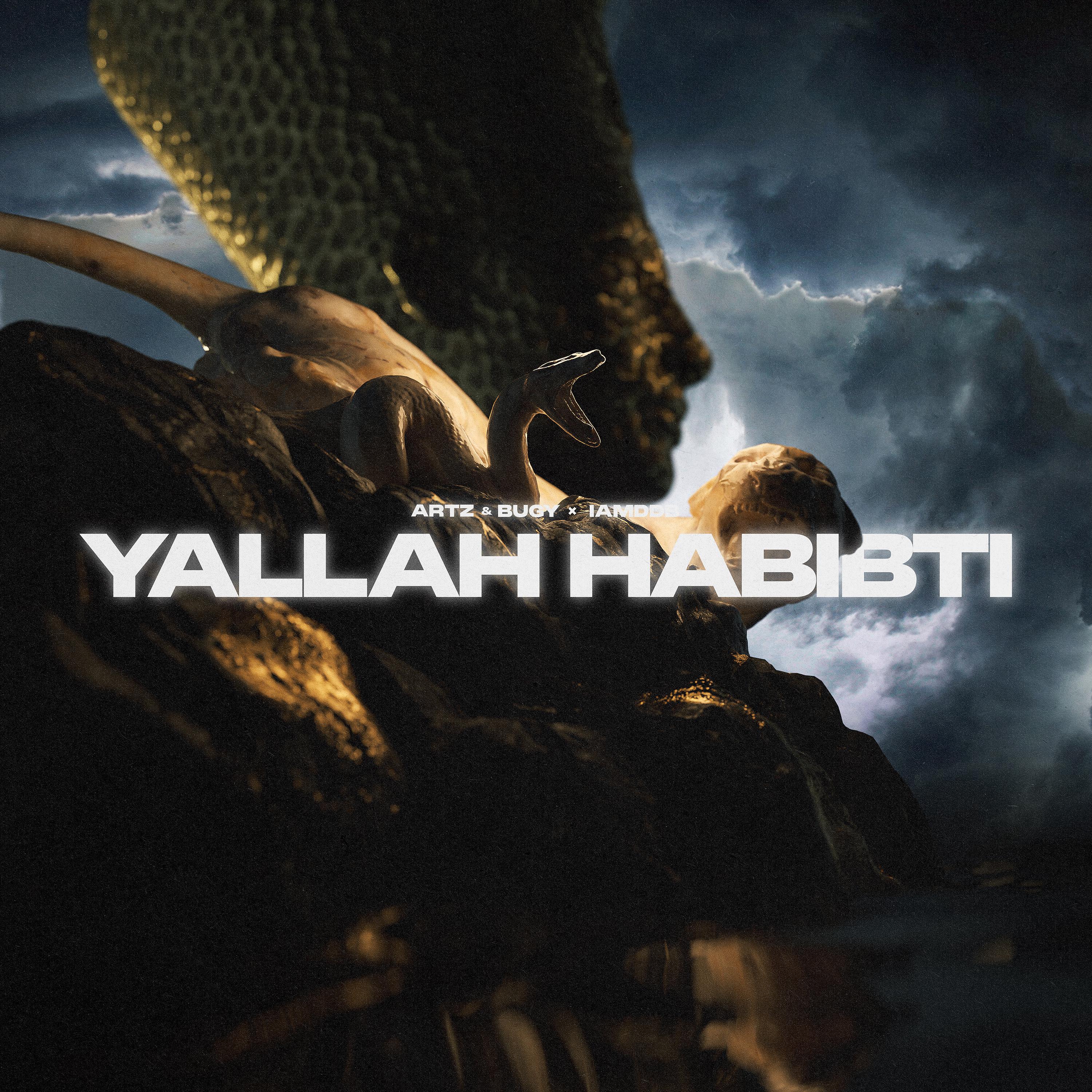 Постер альбома Yallah Habibti