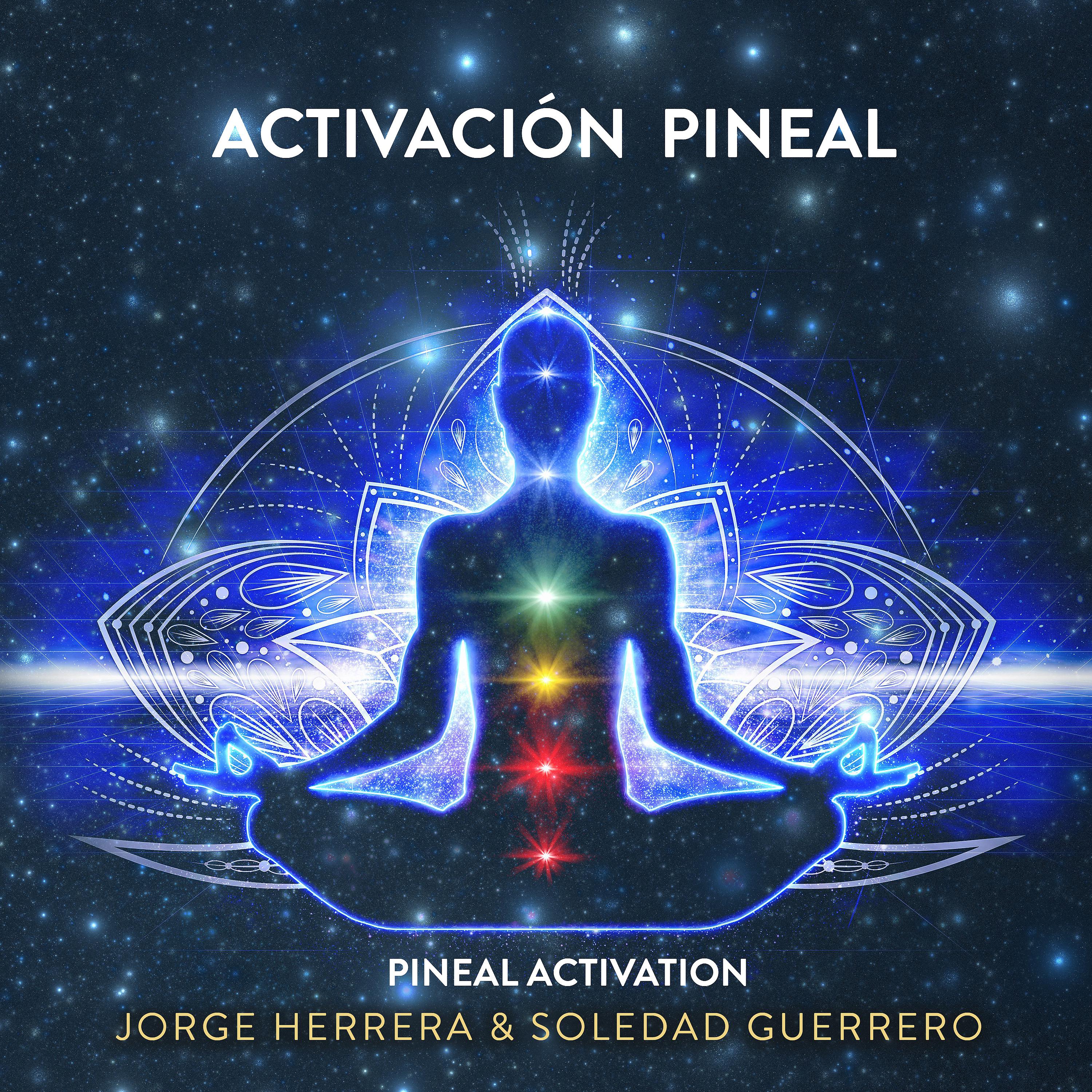 Постер альбома Activación Pineal