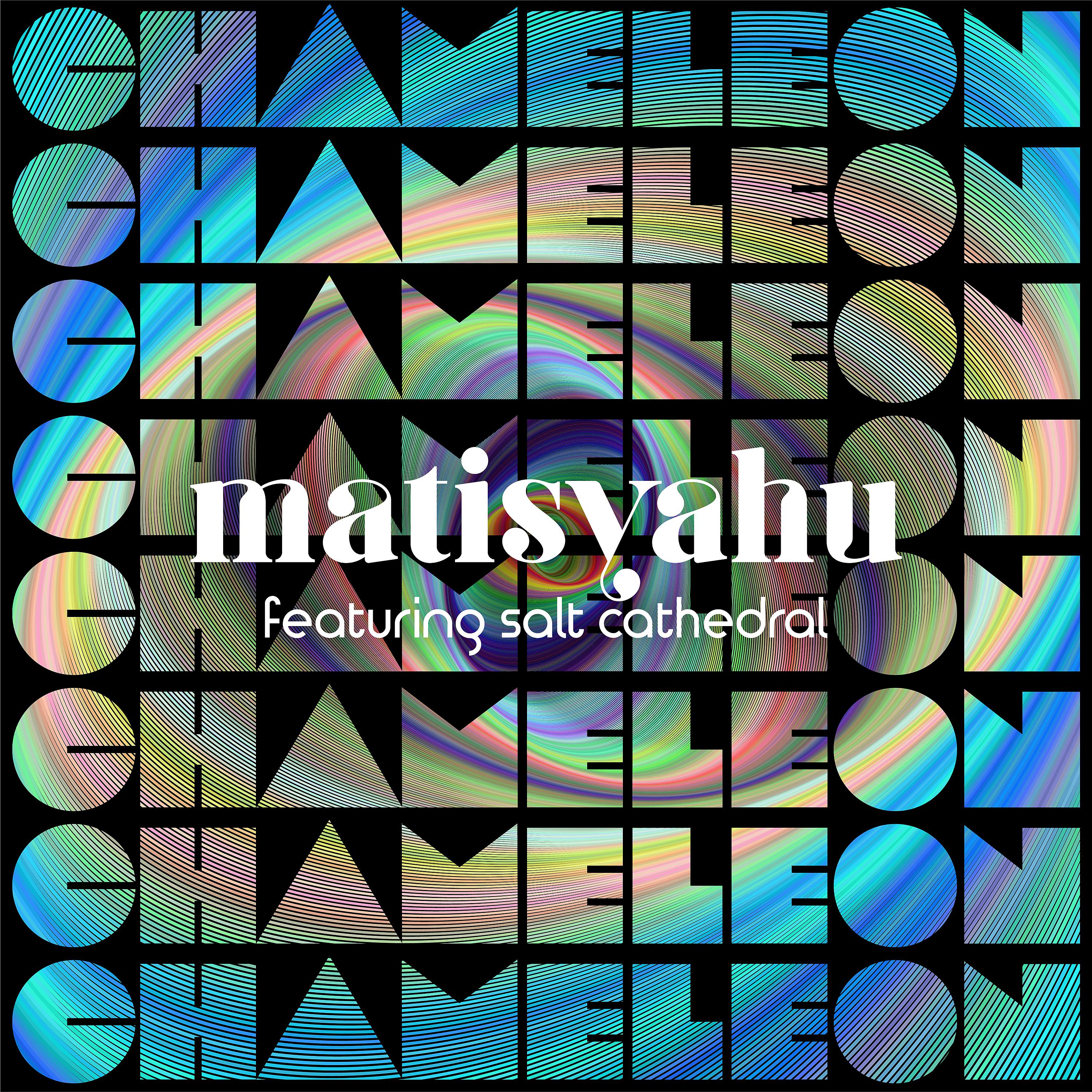 Постер альбома Chameleon (feat. Salt Cathedral)